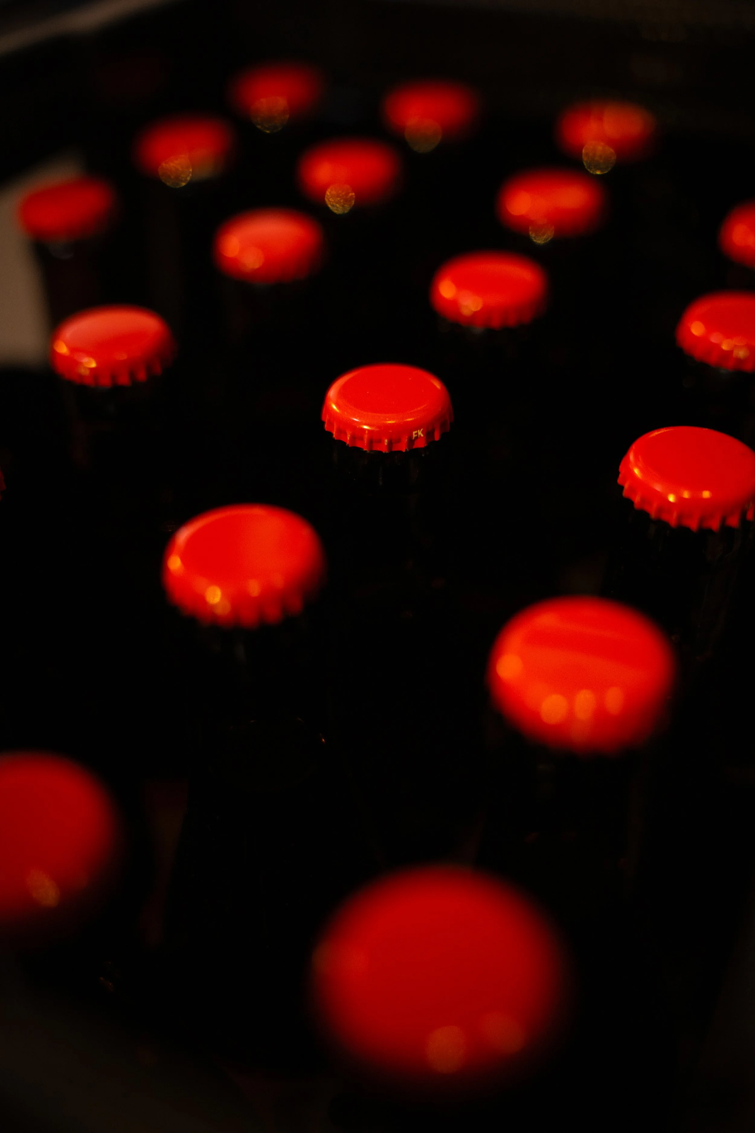 260306_GJ_Brasserie_Goubz_Maxime_19.jpg