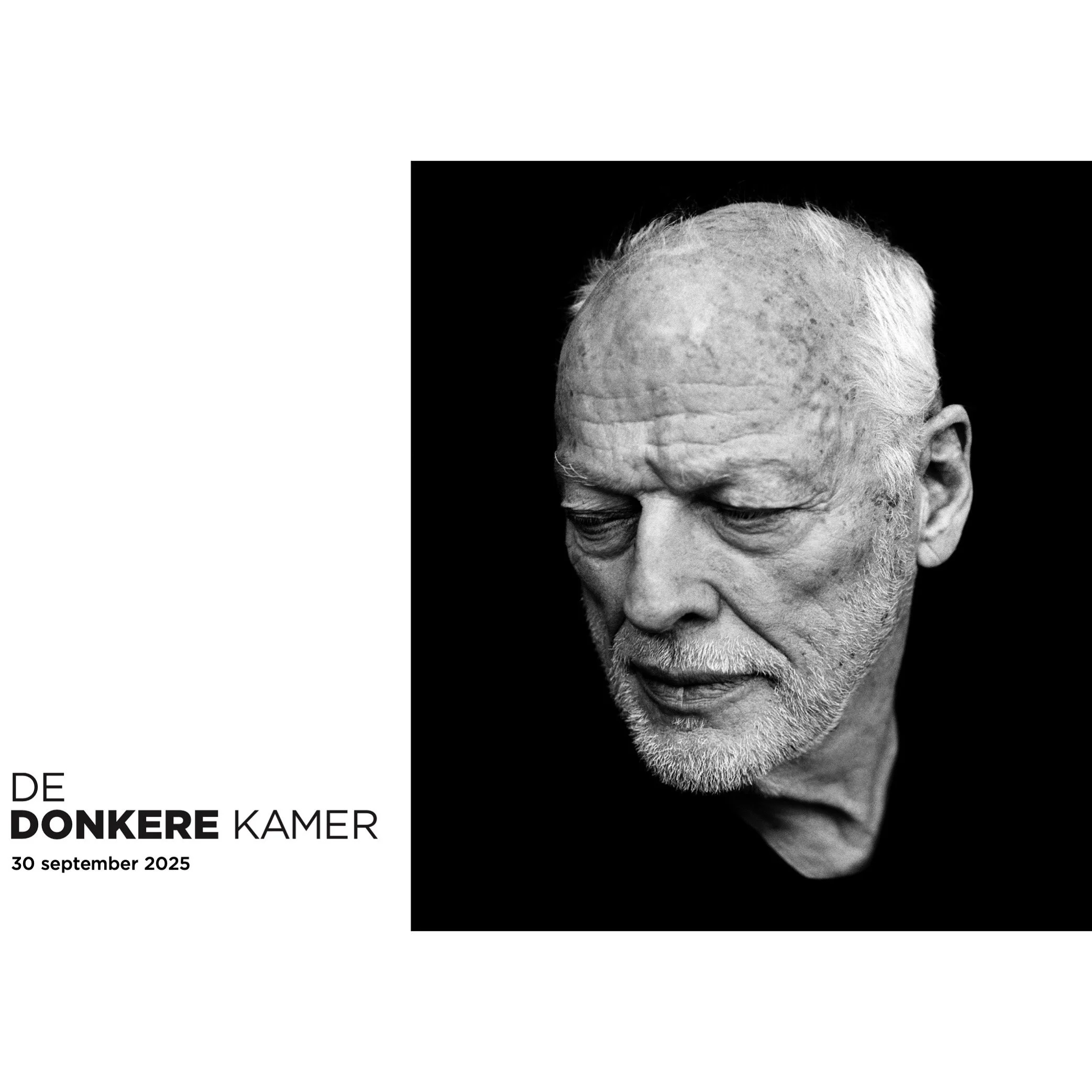 DDK #35