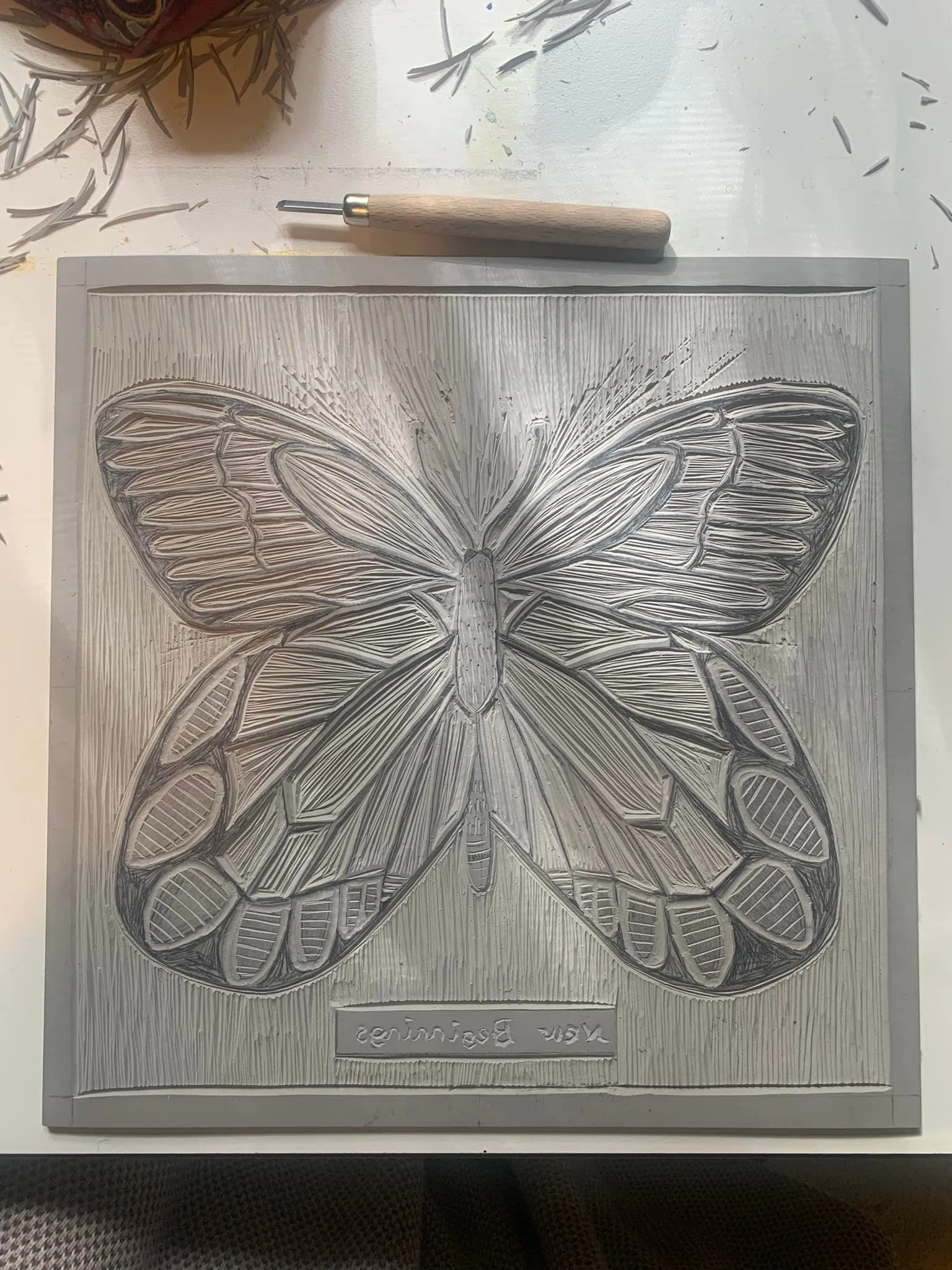 Lino print block finished and here&rsquo;s the result. Might add a little watercolour to the butterfly when I get a moment. My inspiration is the beautiful Jezebel butterfly in the forest where I live. The caterpillars feed on mistletoe growing in th