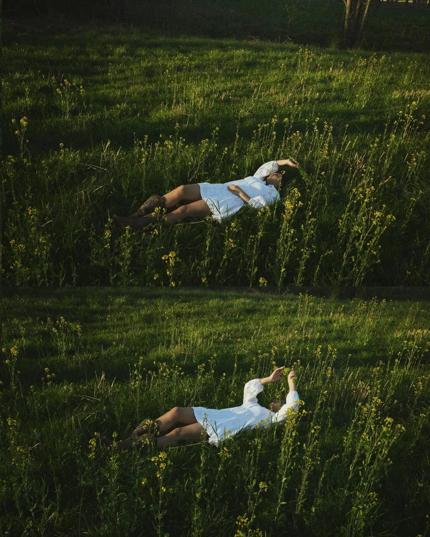 my kind of field work with @brooke__evangeline !!! 

#countryphotography #fieldworkfriday #nashvillephotographer #portraitsinfields #creativeportraits