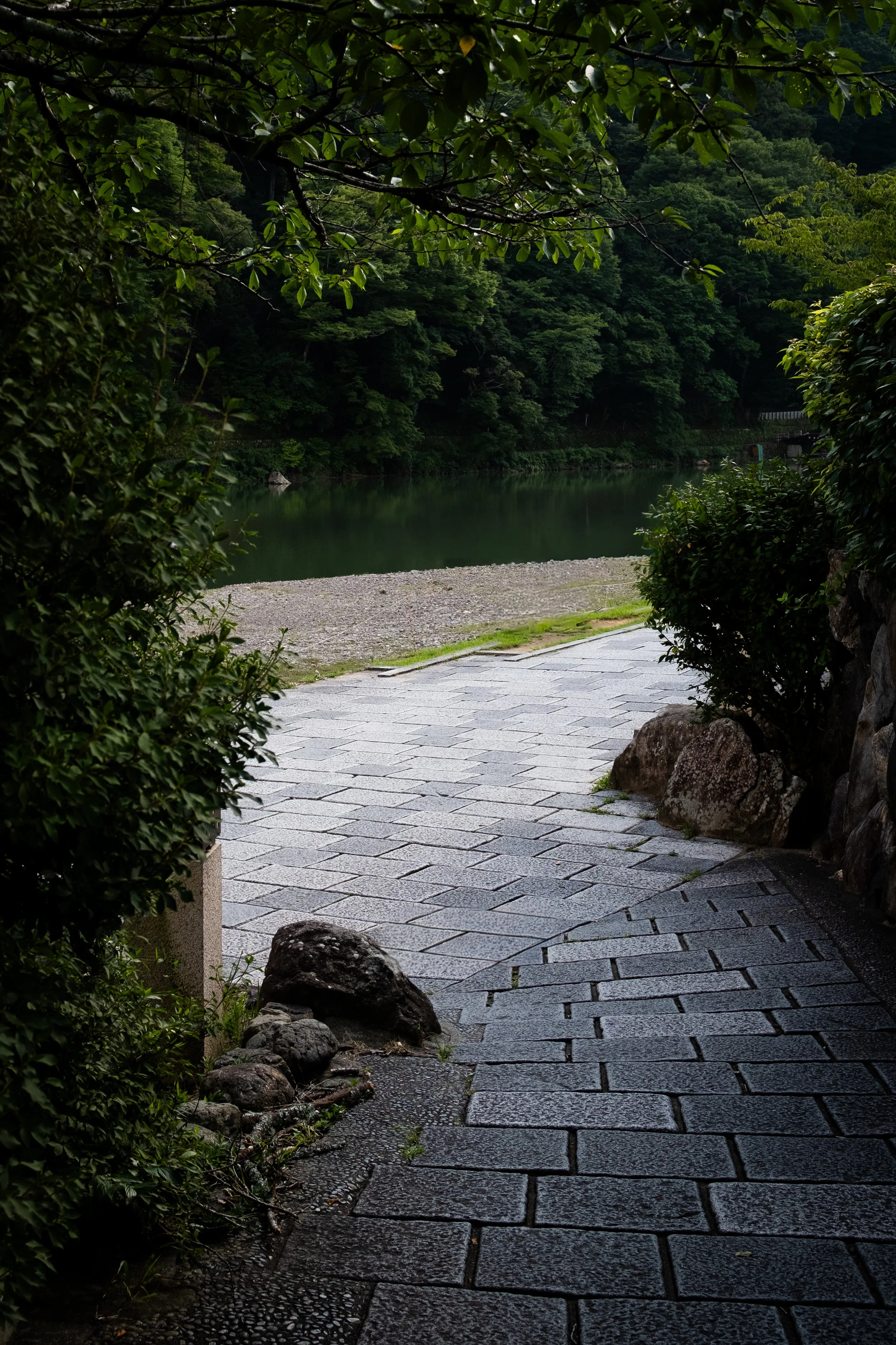 DSCF3205.jpg