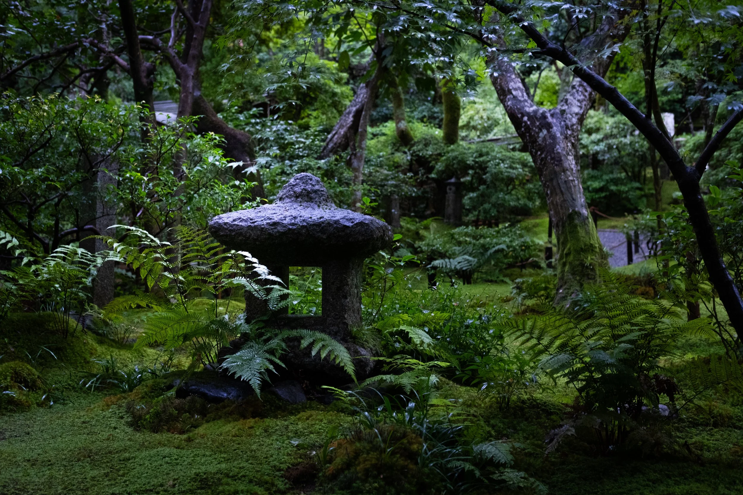 DSCF3906.jpg