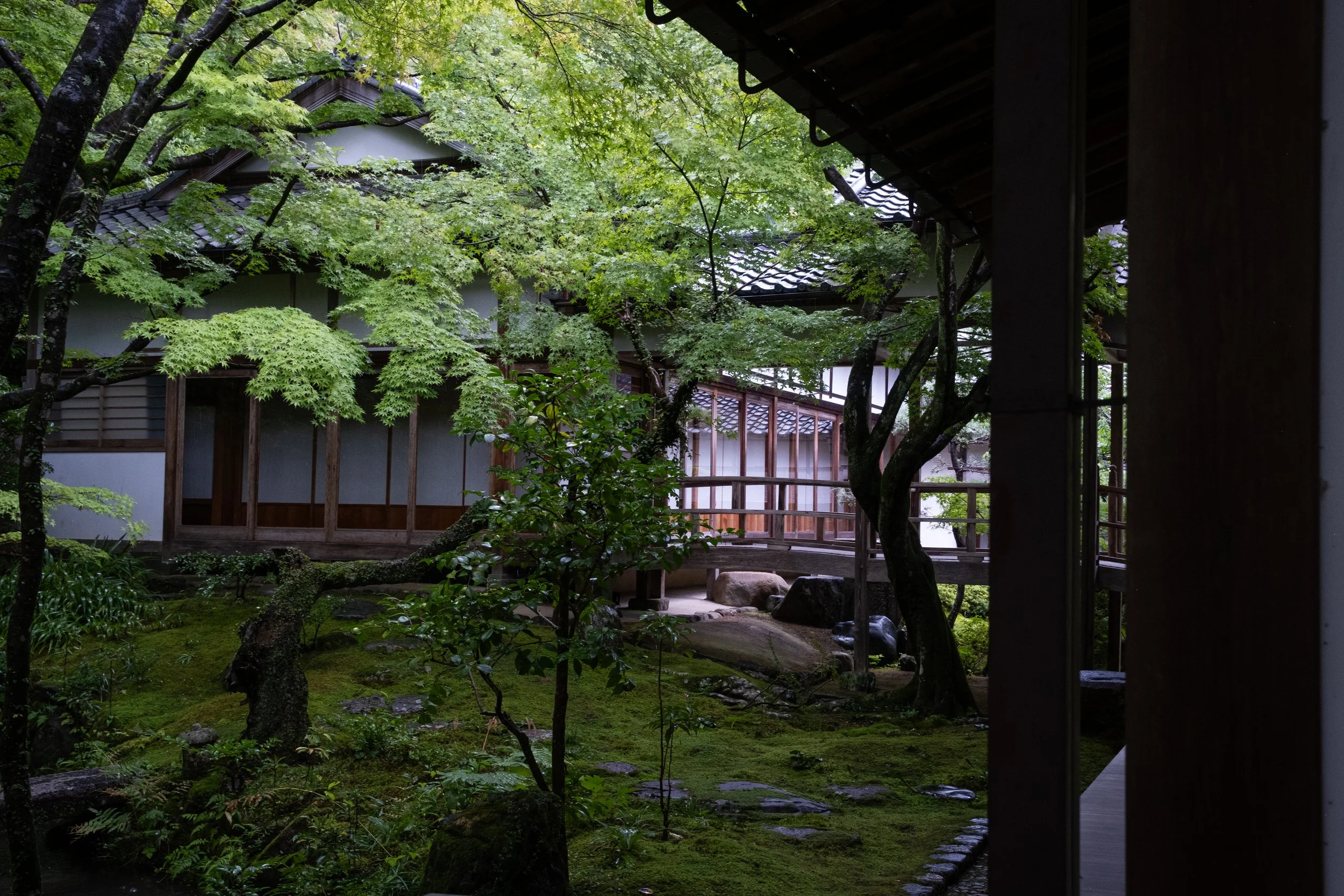 DSCF3600.jpg