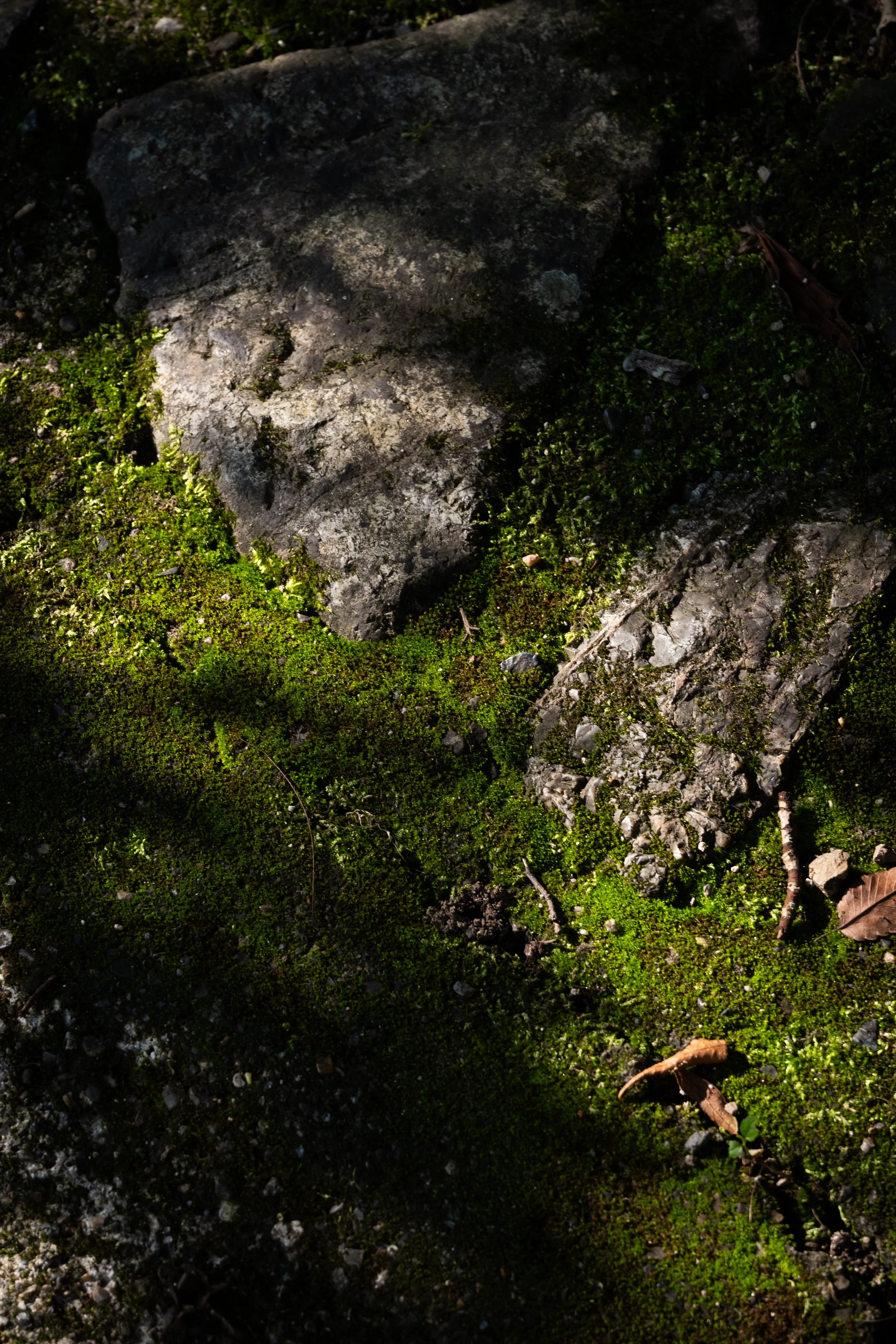 DSCF3249.jpg