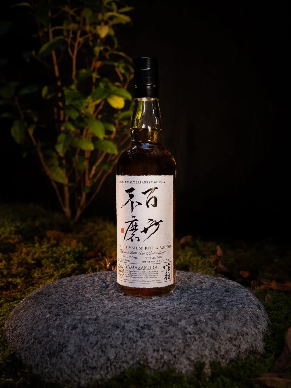 DSCF9238.jpg