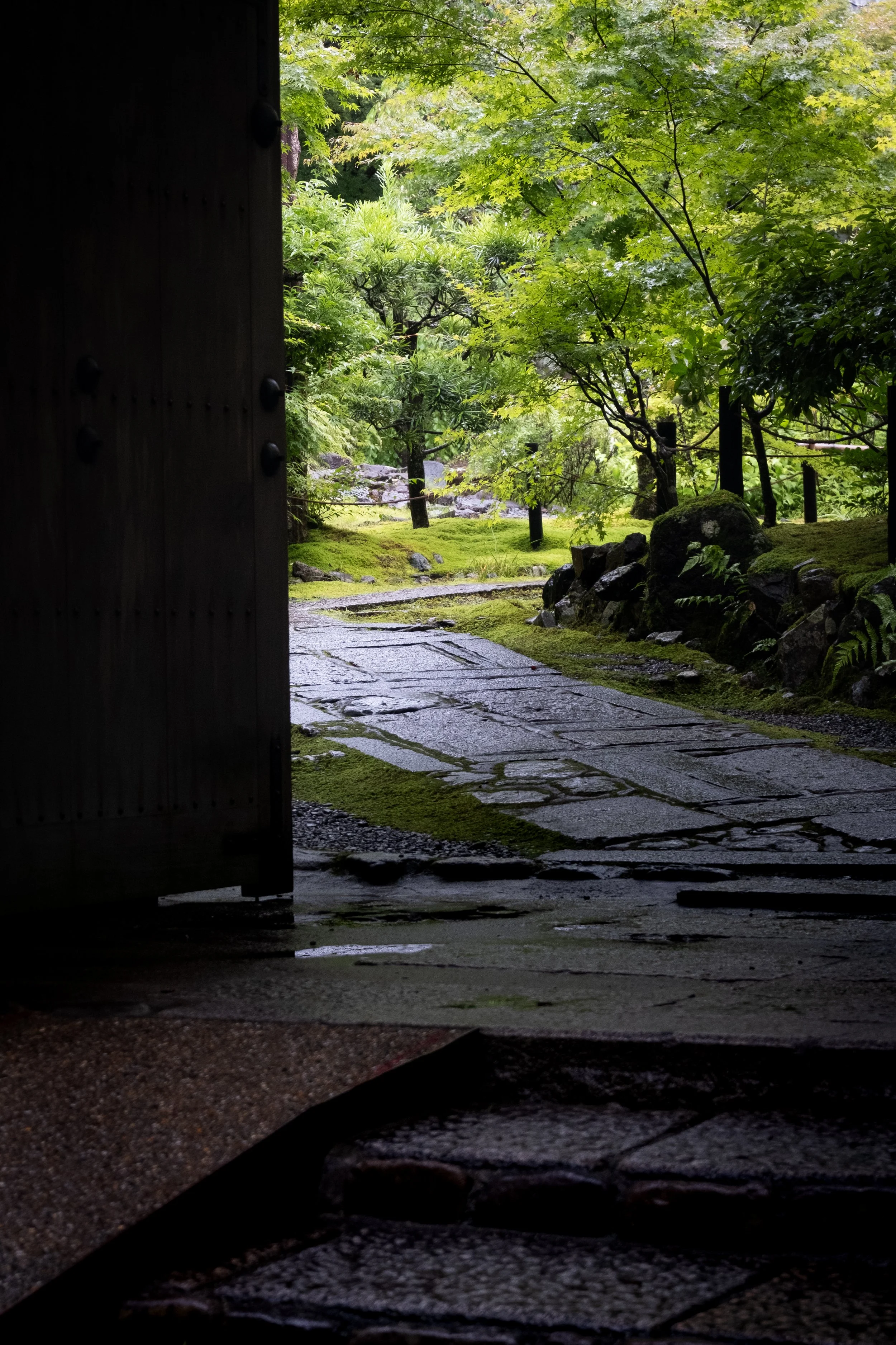 DSCF3751.jpg