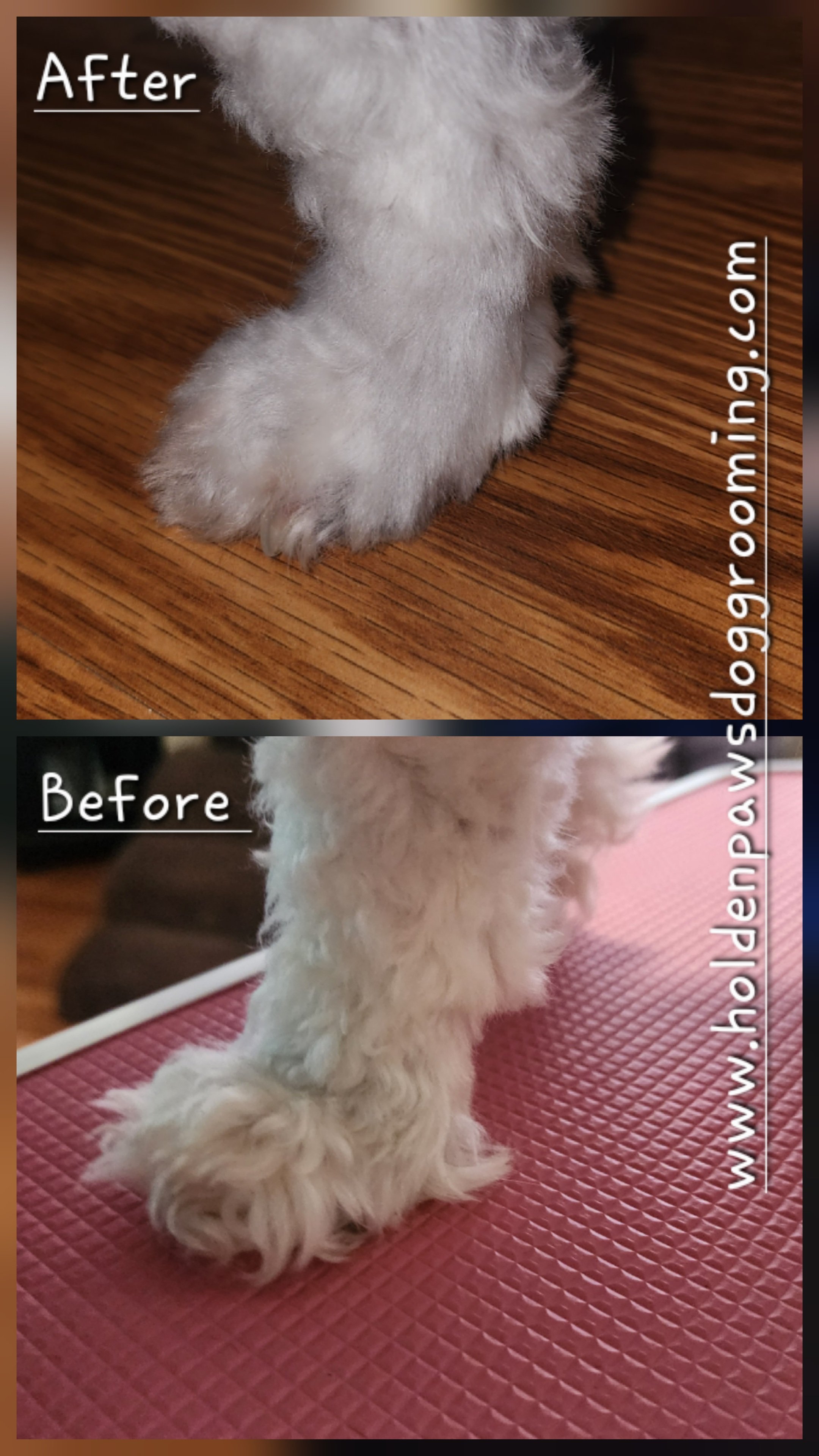 A before and after comparison of a small, fluffy, white dog with curly fur. The 'Before' image shows the dog from behind, with unkempt fur, lying on a pink textured mat, while the 'After' image shows the dog with groomed fur, standing on a wooden floor.