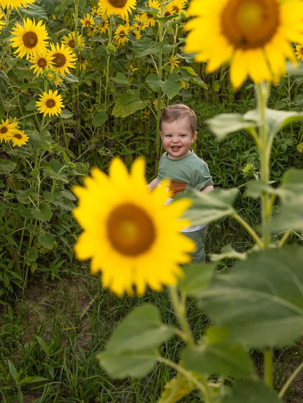 Obsessed with this chunky, smiley boy!!! 🌻 Are toddler photos supposed to be this easy?!