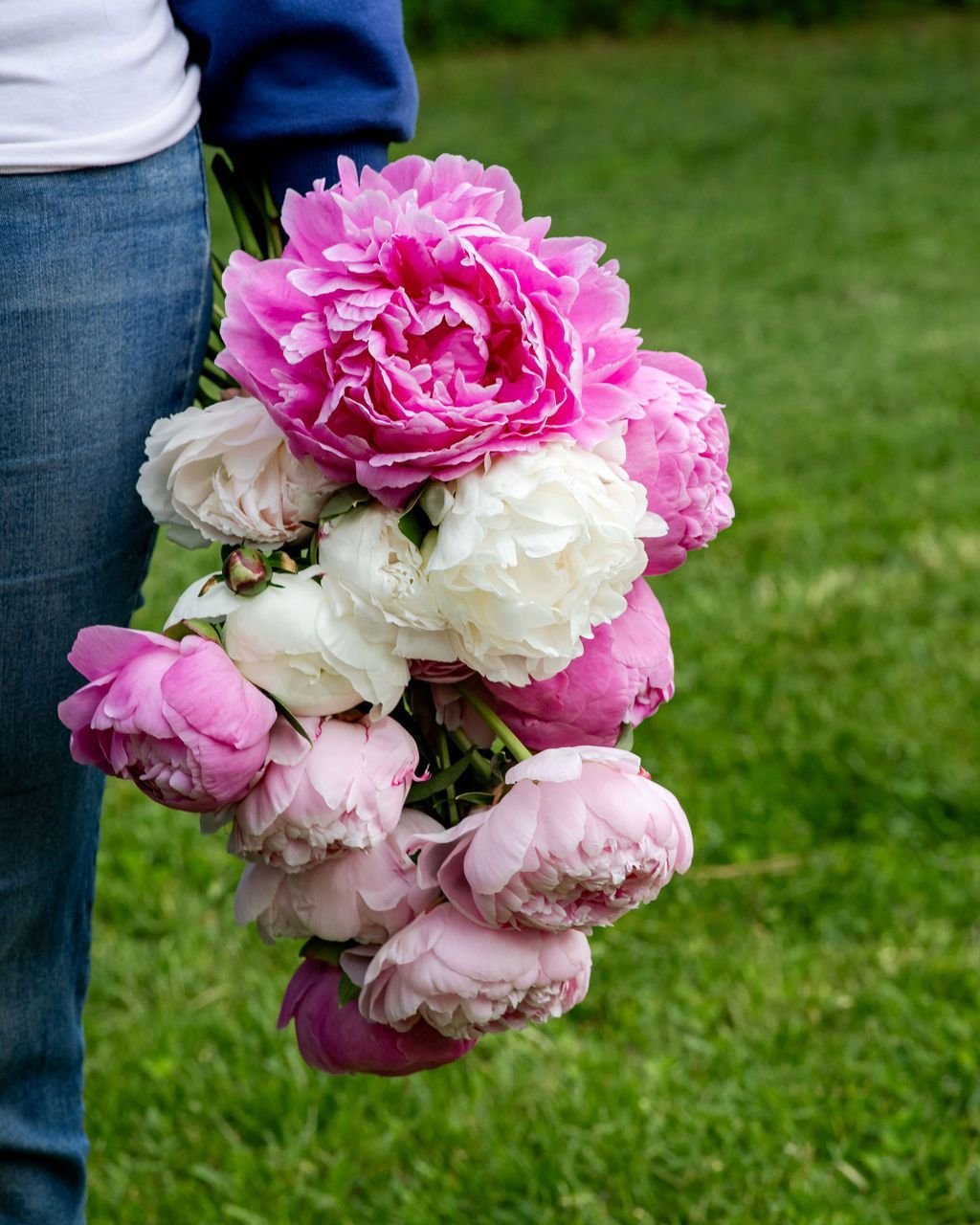 when @sweetsouthflowers texts you that her peonies are in bloom, you grab your camera and ask questions later!! loveeee getting to capture the most beautiful locally grown flowers in town 😍 💐