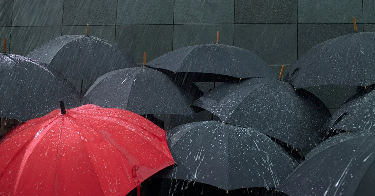 A red umbrella in a sea of black umbrellas to represent charity brand differentiation.