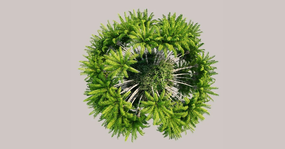 A thriving ecosystem to represent sustainable branding for social enterprises.