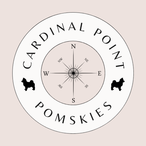 Cardinal Point Pomskies 