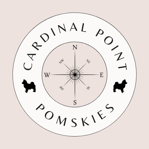 Cardinal Point Pomskies