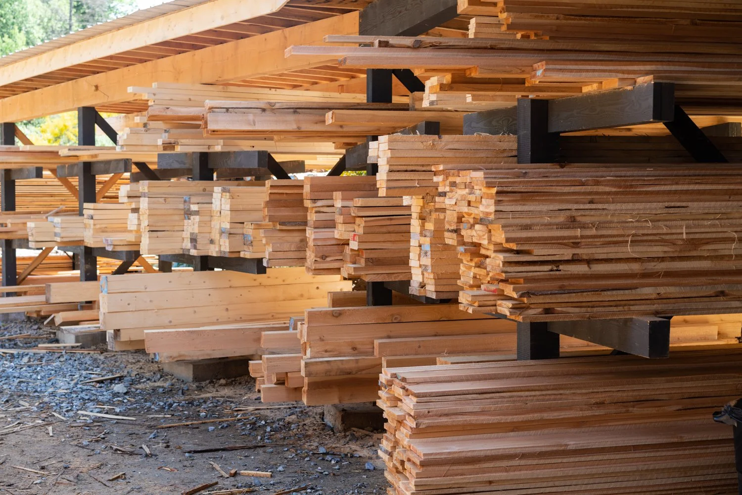 stacks of cedar and fir lumber at a local lumber yard