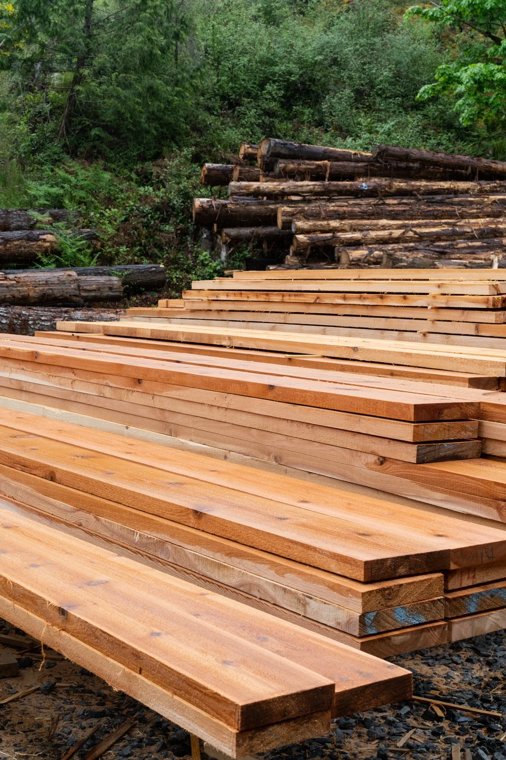 Piles of freshly cut wooden planks stacked with trees and logs in the background.
