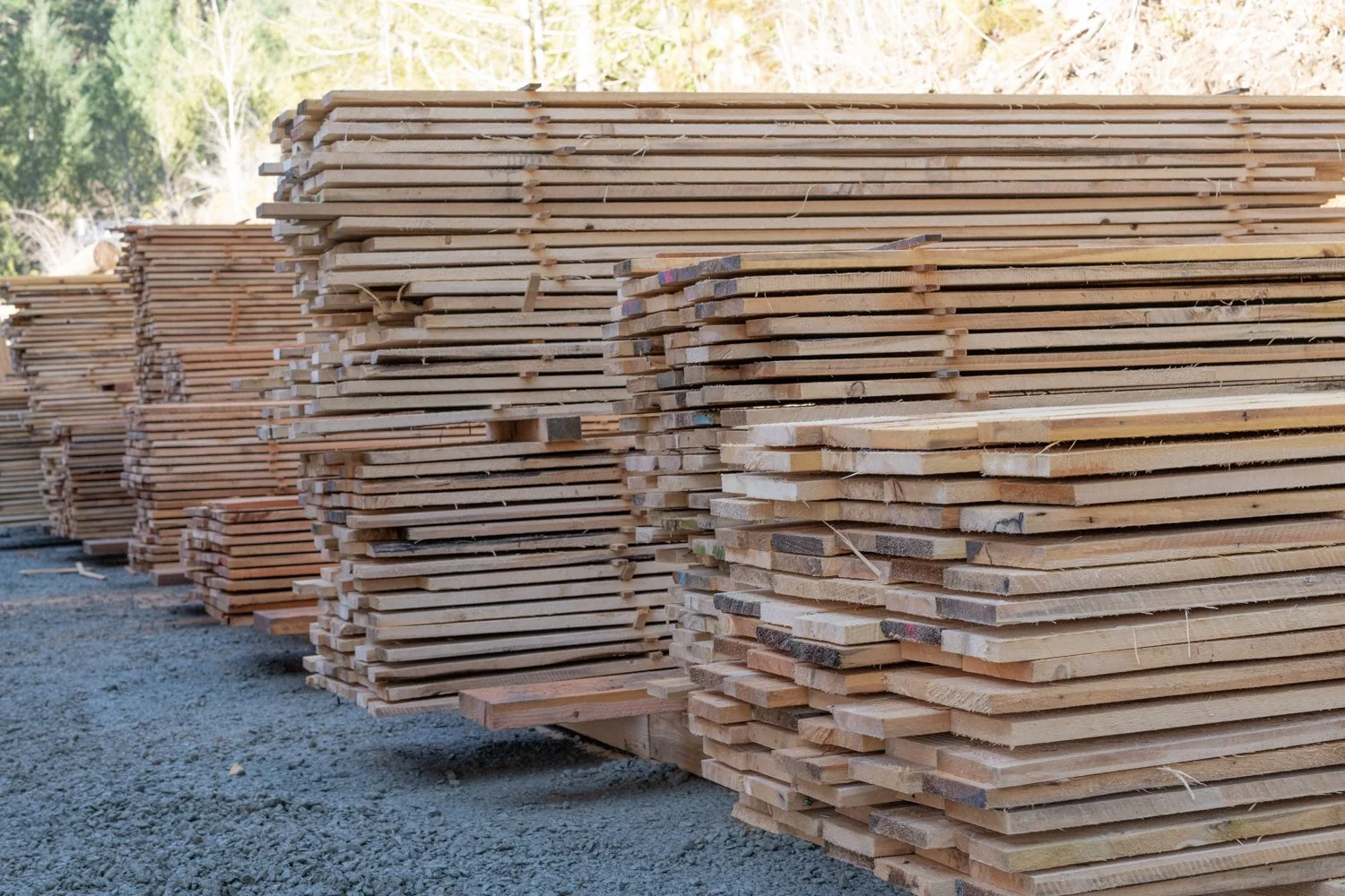 lumber mill in Metchosin