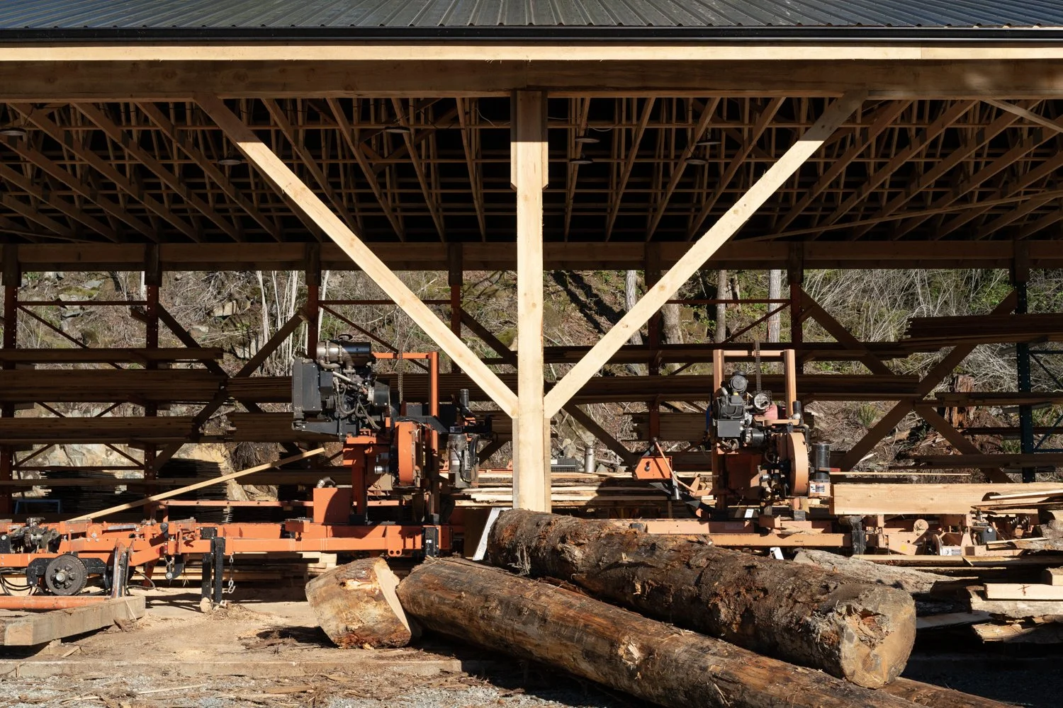 Sawmill with logs and lumber
