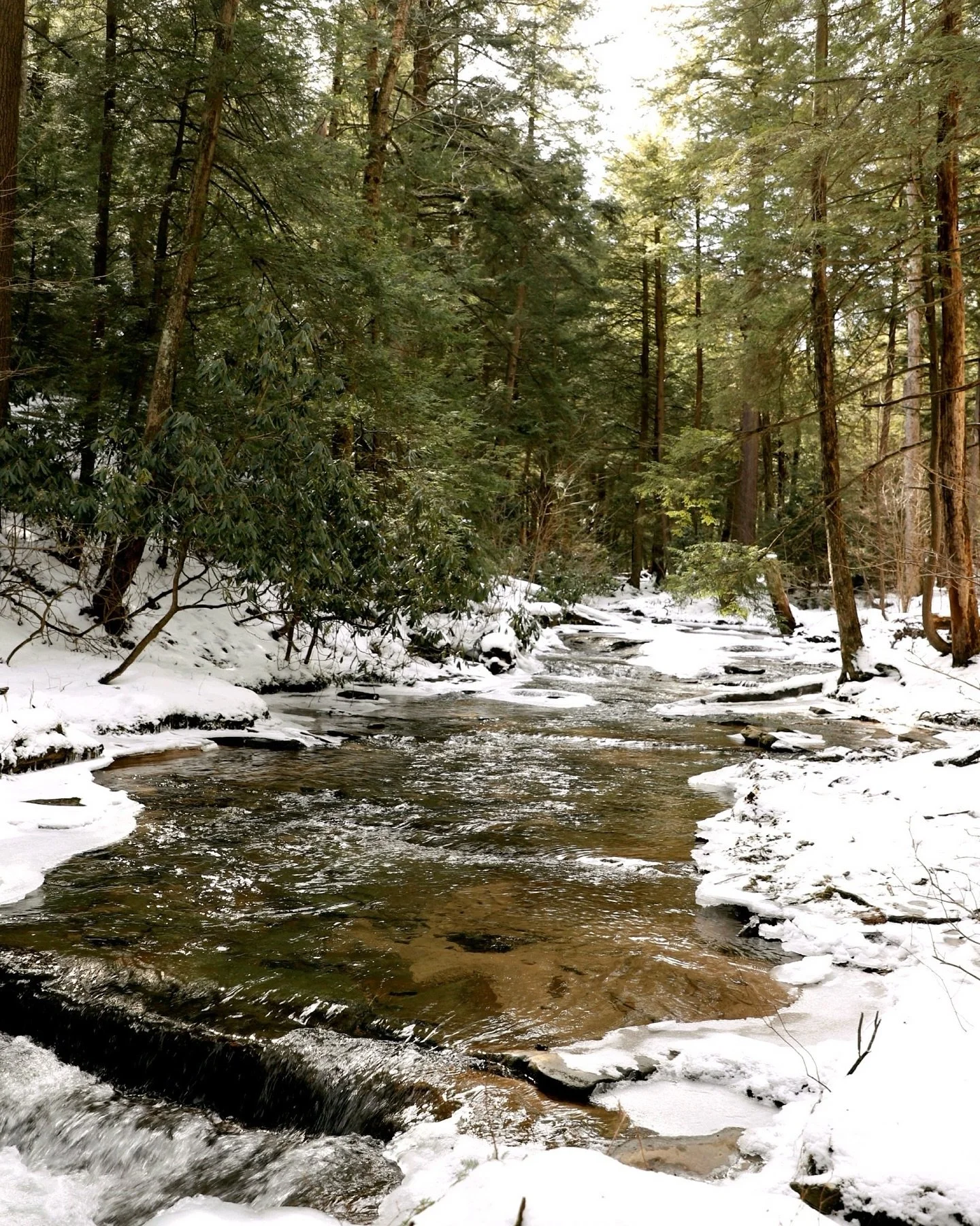The melting snow this week and a quick trip over to Swalllow Falls (where I was the only person visiting!) has reminded me that my favorite time of year at the lake is quickly approaching, the off season! Okay, so picture this: Deep Creek Lake, but w
