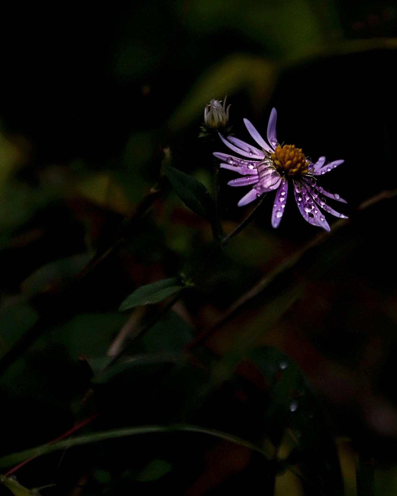 Don&rsquo;t let a bit of rain put a damper on your time at the lake, there&rsquo;s a whole world of cozy and engaging activities waiting indoors! My latest blog post dives into the best ways to spend a rainy day, from exploring charming local shops t