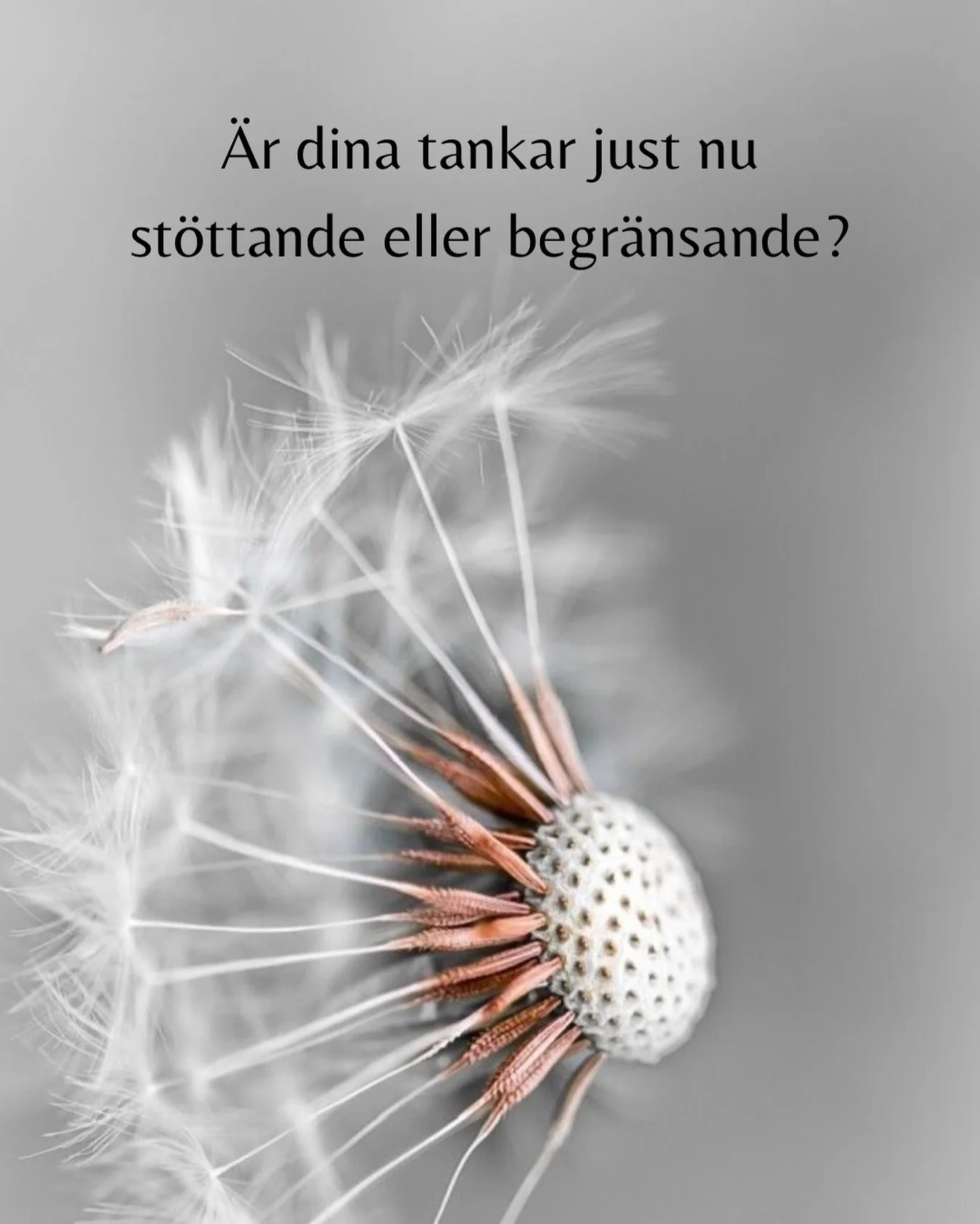 Dina tankar &auml;r som fr&ouml;n du s&aring;r i ditt inre. 

Det du t&auml;nker om dig sj&auml;lv och v&auml;rlden omkring dig skapar din verklighet. 

N&auml;r Buddha sa: &ldquo;What you think, you become&rdquo;, 
p&aring;minde han oss om den djupa