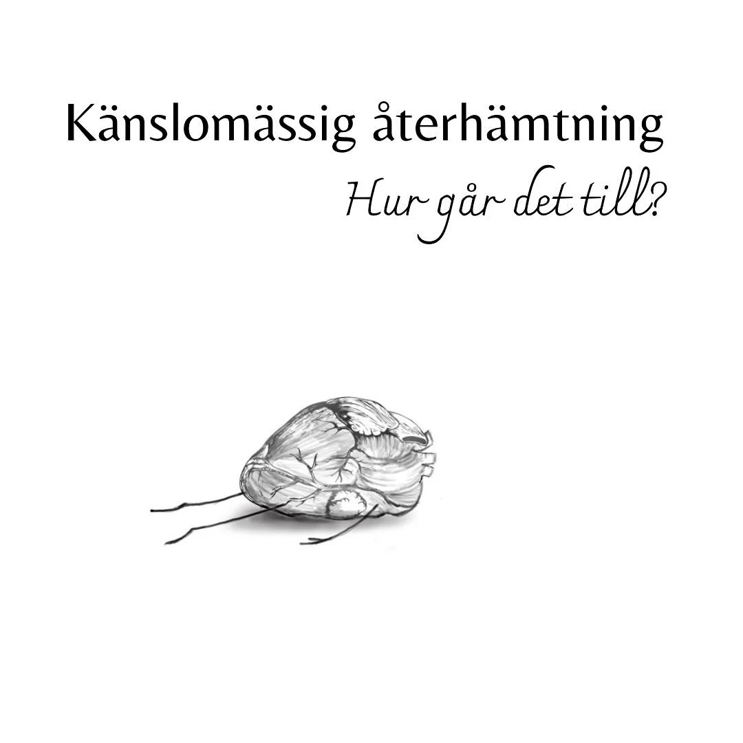 K&auml;nslom&auml;ssig &aring;terh&auml;mtning, precis som mental och fysisk &aring;terh&auml;mtning &auml;r avg&ouml;rande f&ouml;r v&aring;r h&auml;lsa.

N&auml;r vi st&auml;ndigt hanterar stress, krav och starka k&auml;nslor utan att ge oss sj&aum