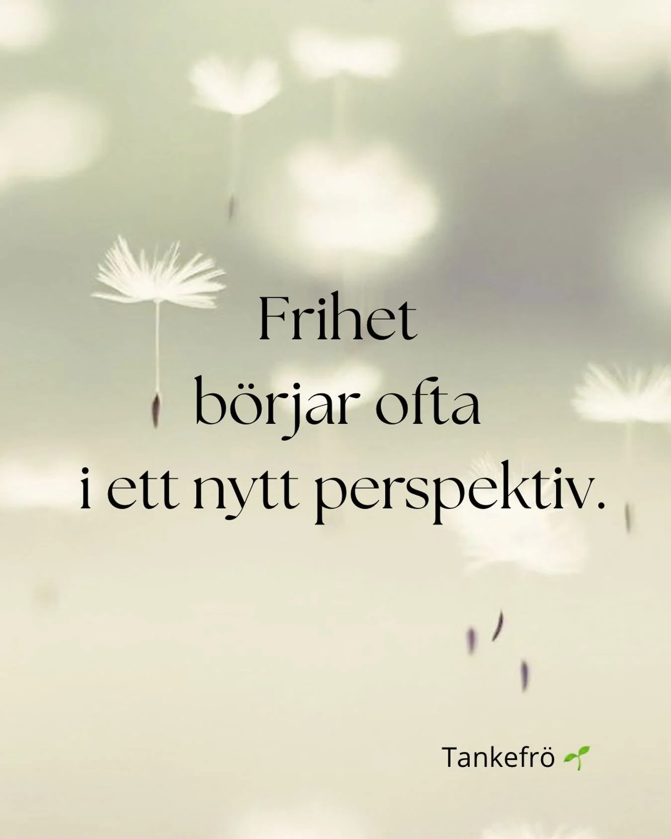 Ibland f&ouml;rs&ouml;ker vi f&ouml;r&auml;ndra livet genom att l&ouml;sa alla problem.

Men ibland b&ouml;rjar f&ouml;r&auml;ndringen n&aring;gon annanstans.

I ett nytt perspektiv.

N&auml;r perspektivet f&ouml;r&auml;ndras kan tankar mjukna, k&aum