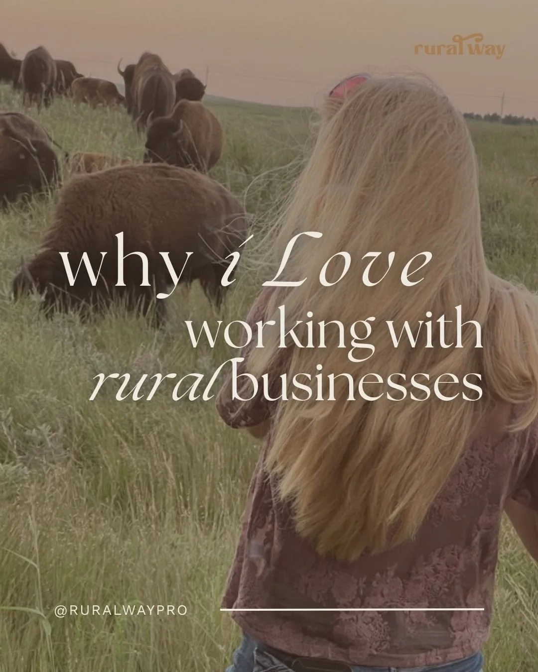 Small towns are full of hardworking entrepreneurs.

People building businesses, raising families, supporting their communities... just to name a few. ifykyk

Helping those businesses build strong brands and show up well online is something I care dee