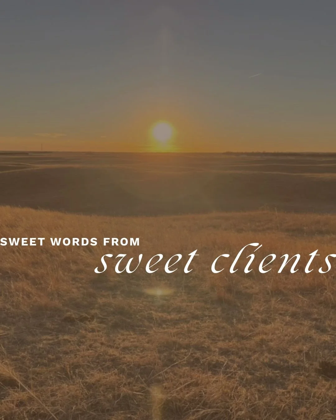 Don&rsquo;t just take my word for it&hellip;

There&rsquo;s nothing more meaningful than hearing how my work impacts real businesses 🤍

These aren&rsquo;t just kind words, they&rsquo;re proof of what happens when your brand finally feels aligned, in