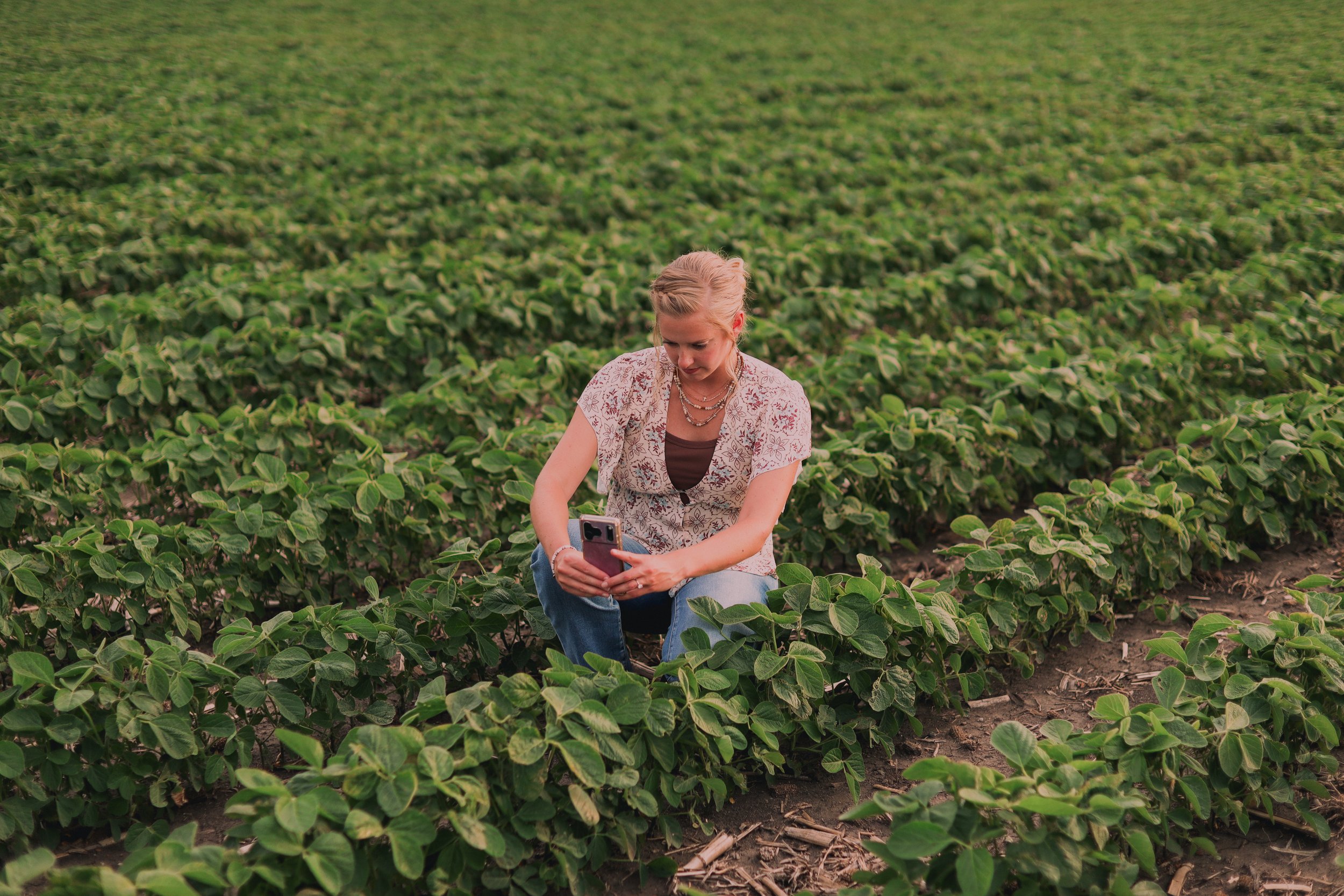 A woman sitting in a soybean field using her smartphone.