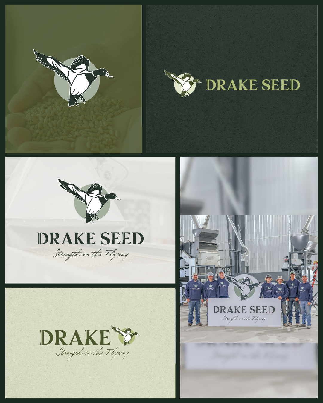 Drake Seed
