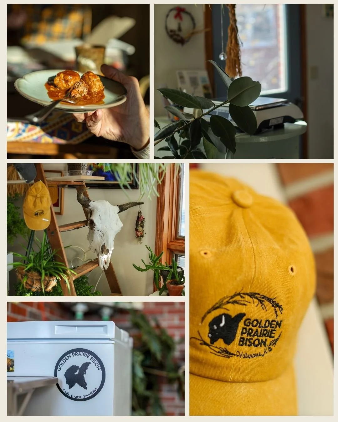 Collage of five photos: a plate of food with meatballs, a window with a plant, a decorative cow skull with plants, a yellow cap with a bison logo, and a freezer with a Golden Prairie Bison sticker.