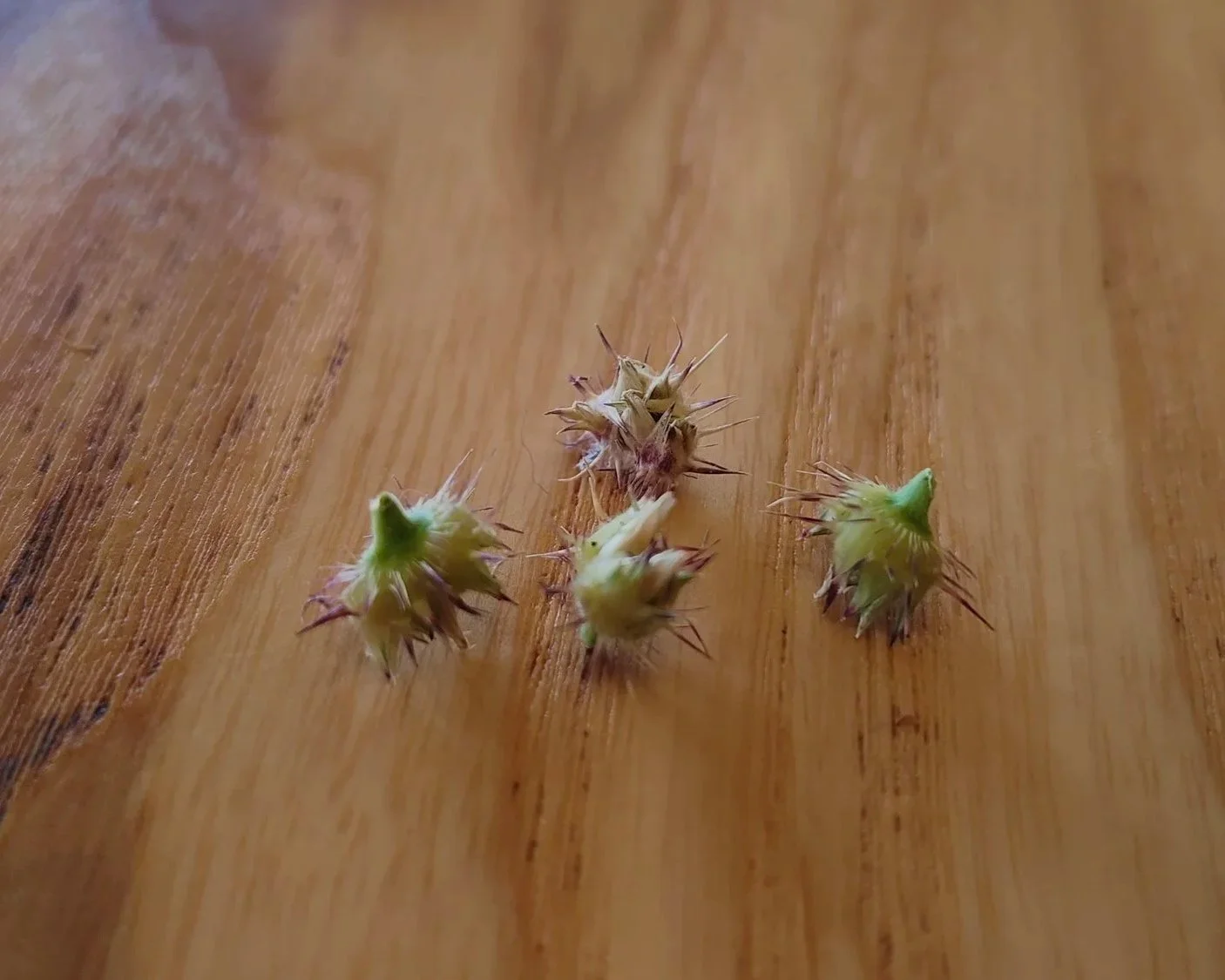 Sobre familias y empresas