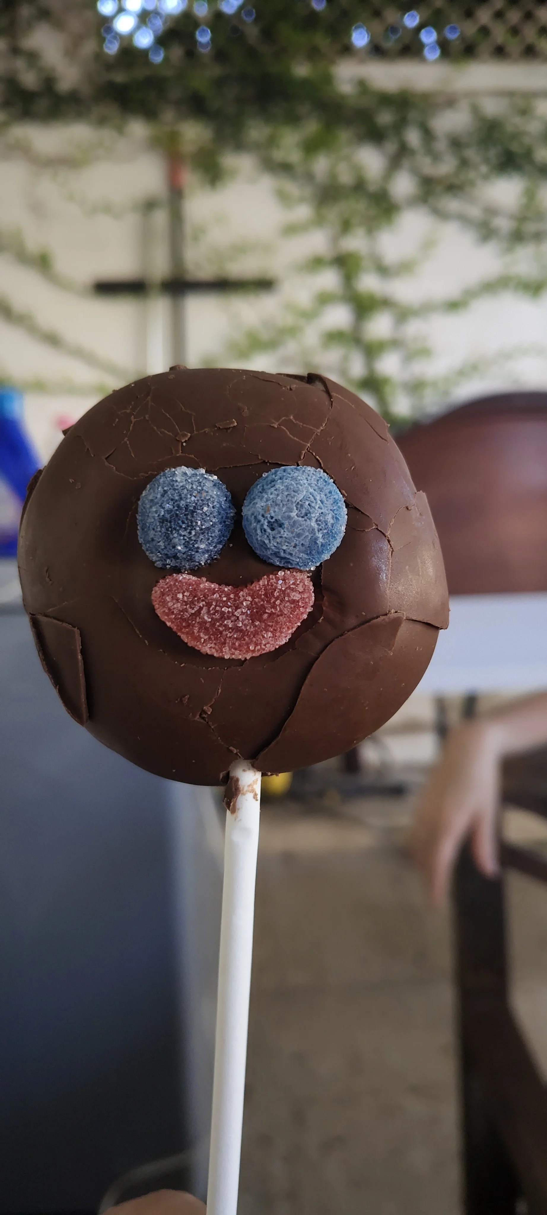 Conoce a Pimpiridolfo