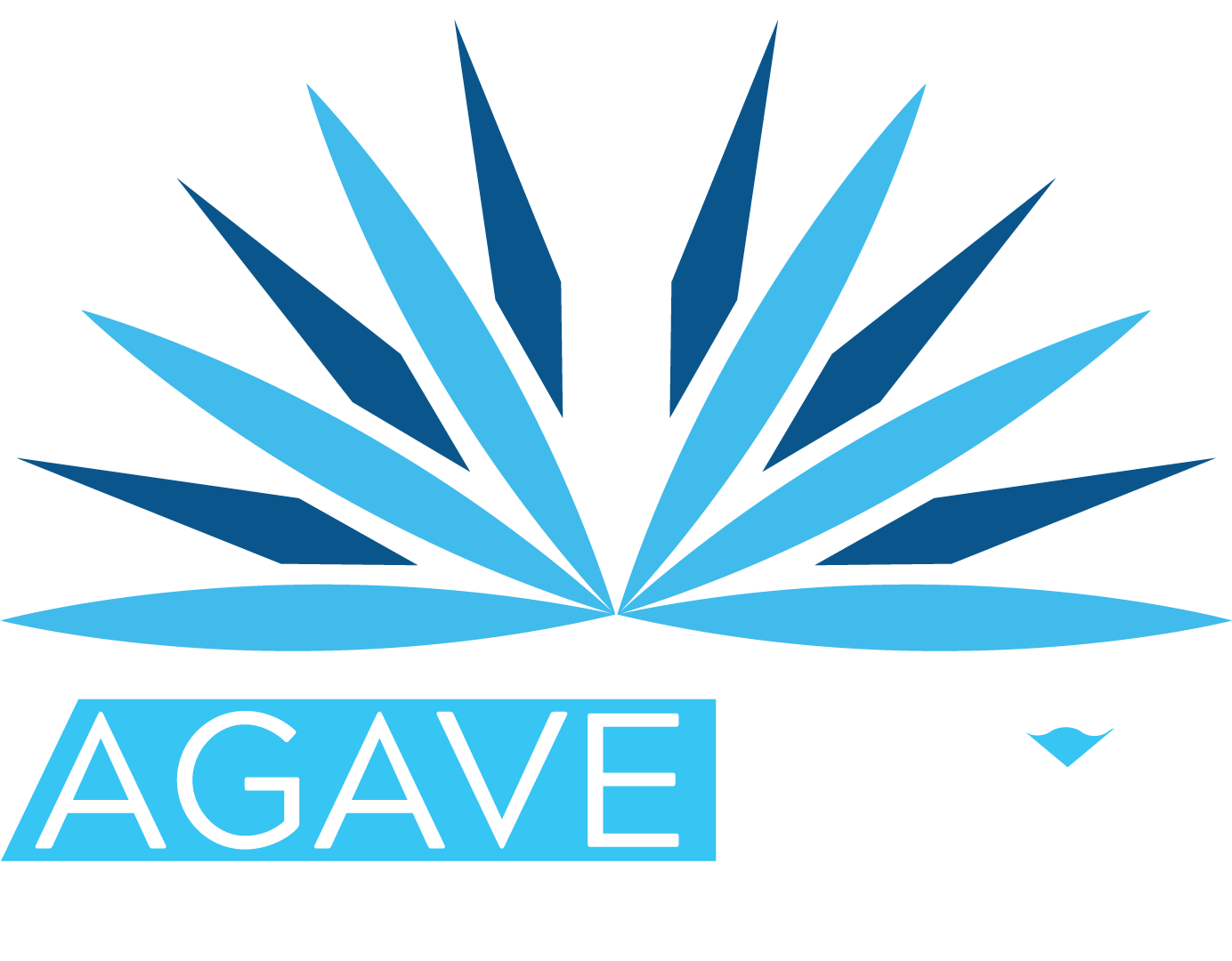 Agave Azul Modern Mex