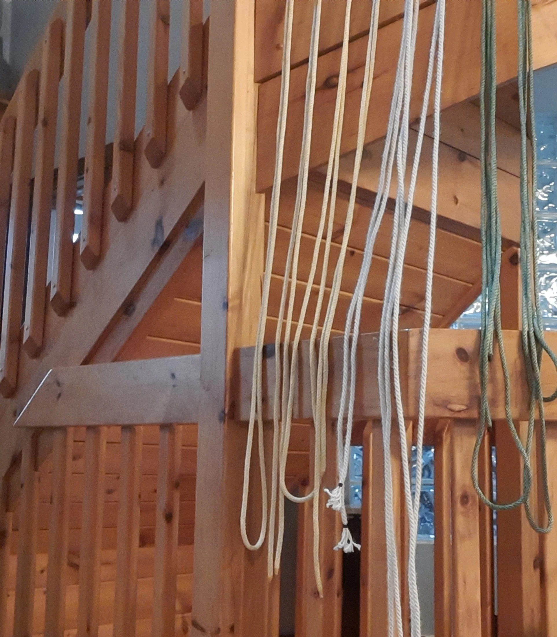 4 rope.jpg