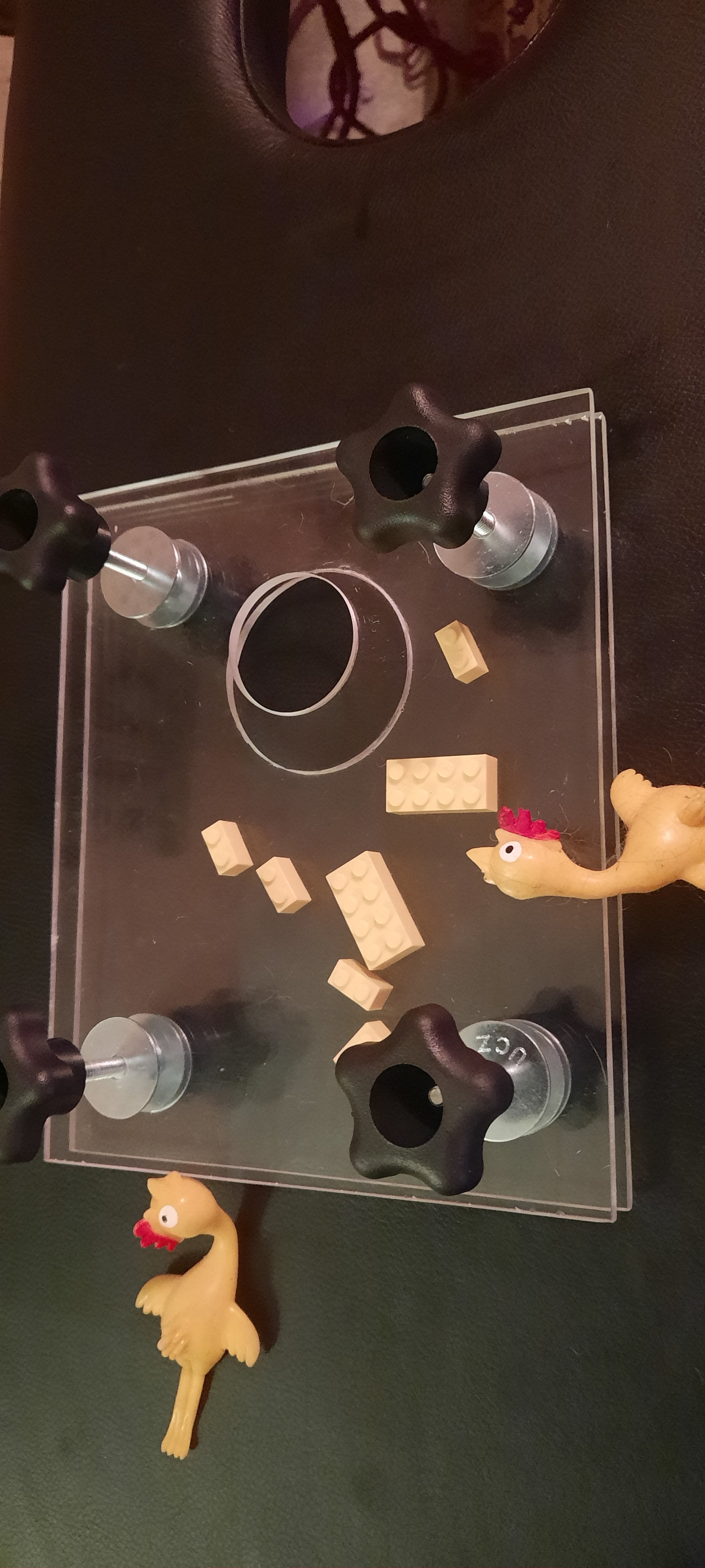 20220531_132555.jpg