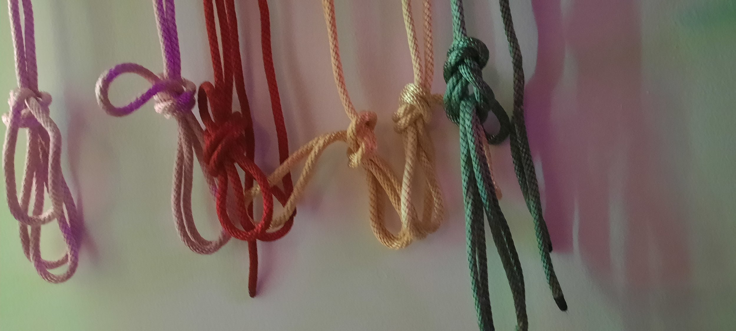20230108_134304.jpg