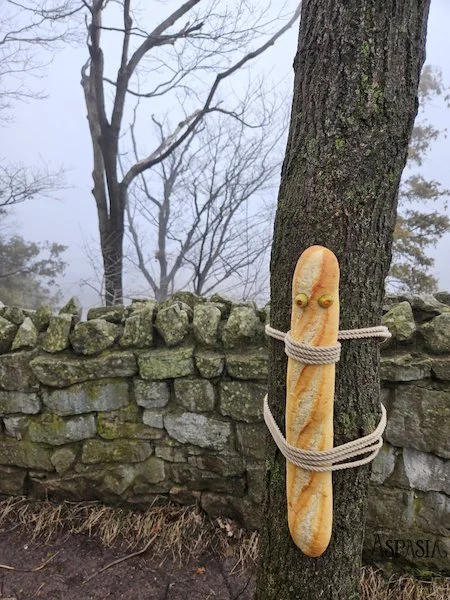 A baguette with olives for eyeballs tied to a mossy tree on a foggy hill. The background has leafless trees, greyness, and a mossy green and grey historic stone  sheep wall (half height) in the background