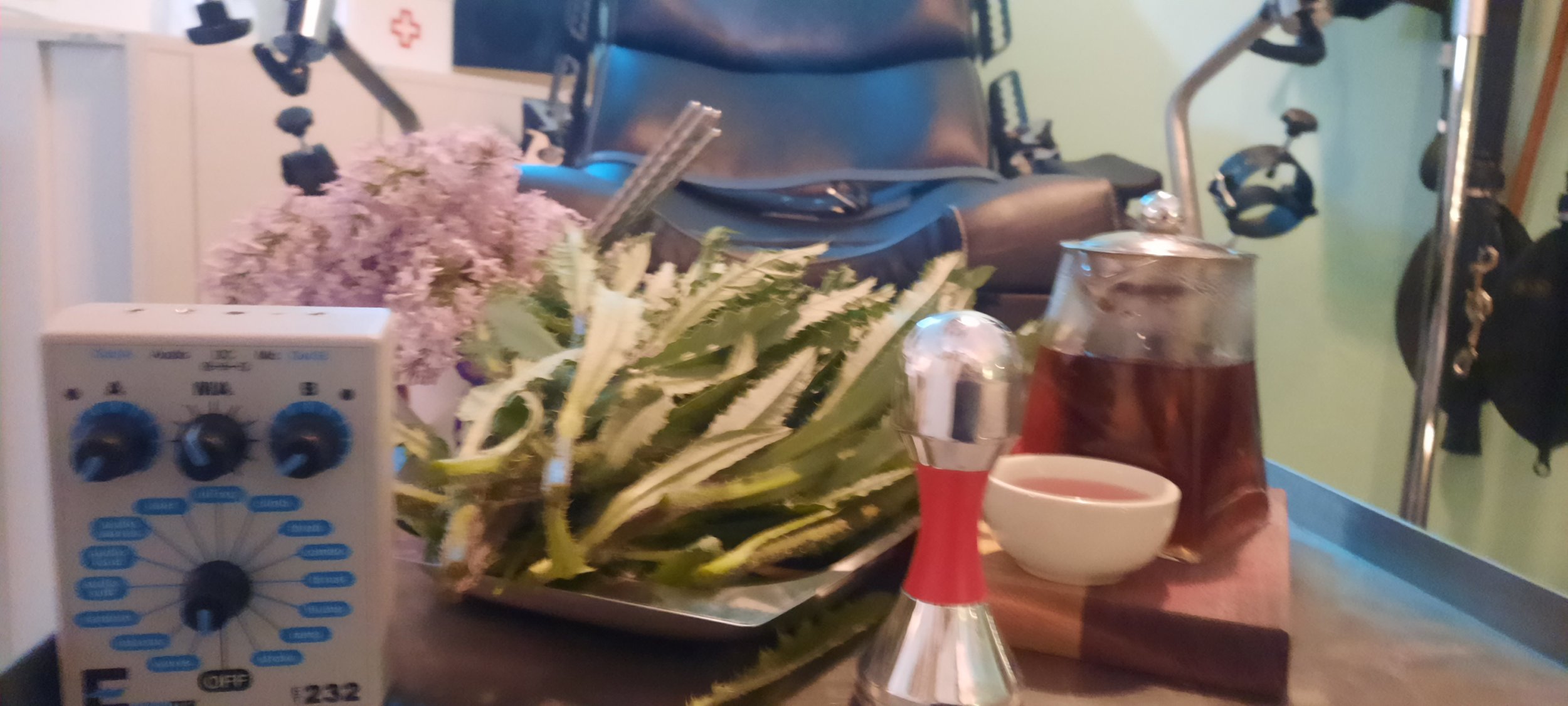 blurry spring medical.jpg