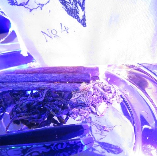lilpotion-1.jpg