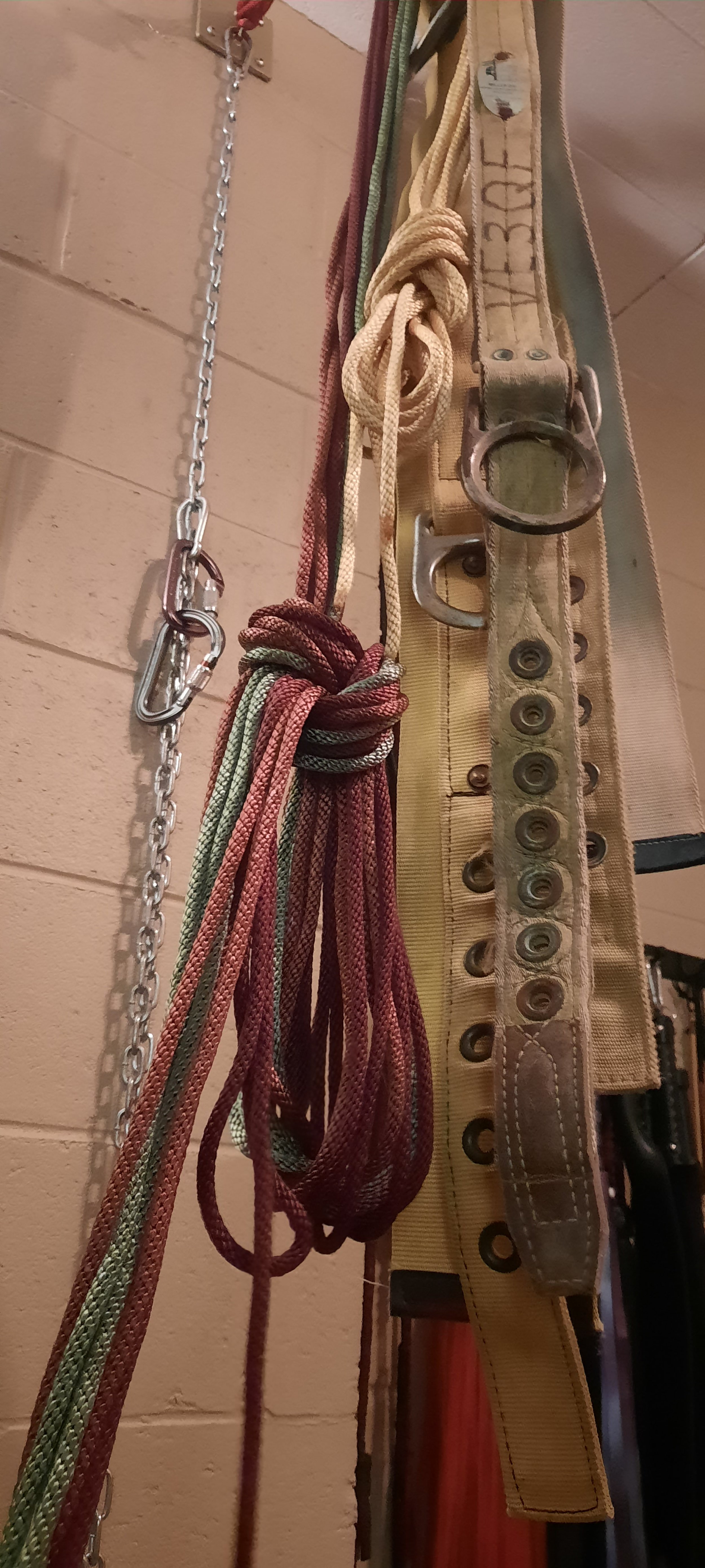 20230116_095319.jpg