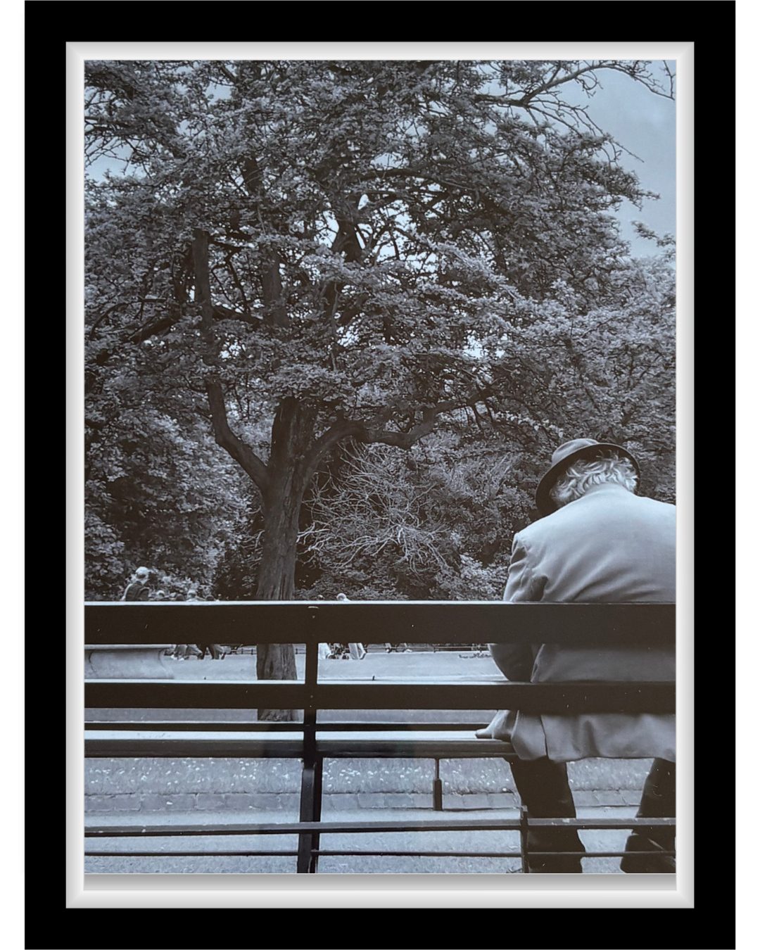 Contemplation Ireland | Photograph | 16x13 | $100
