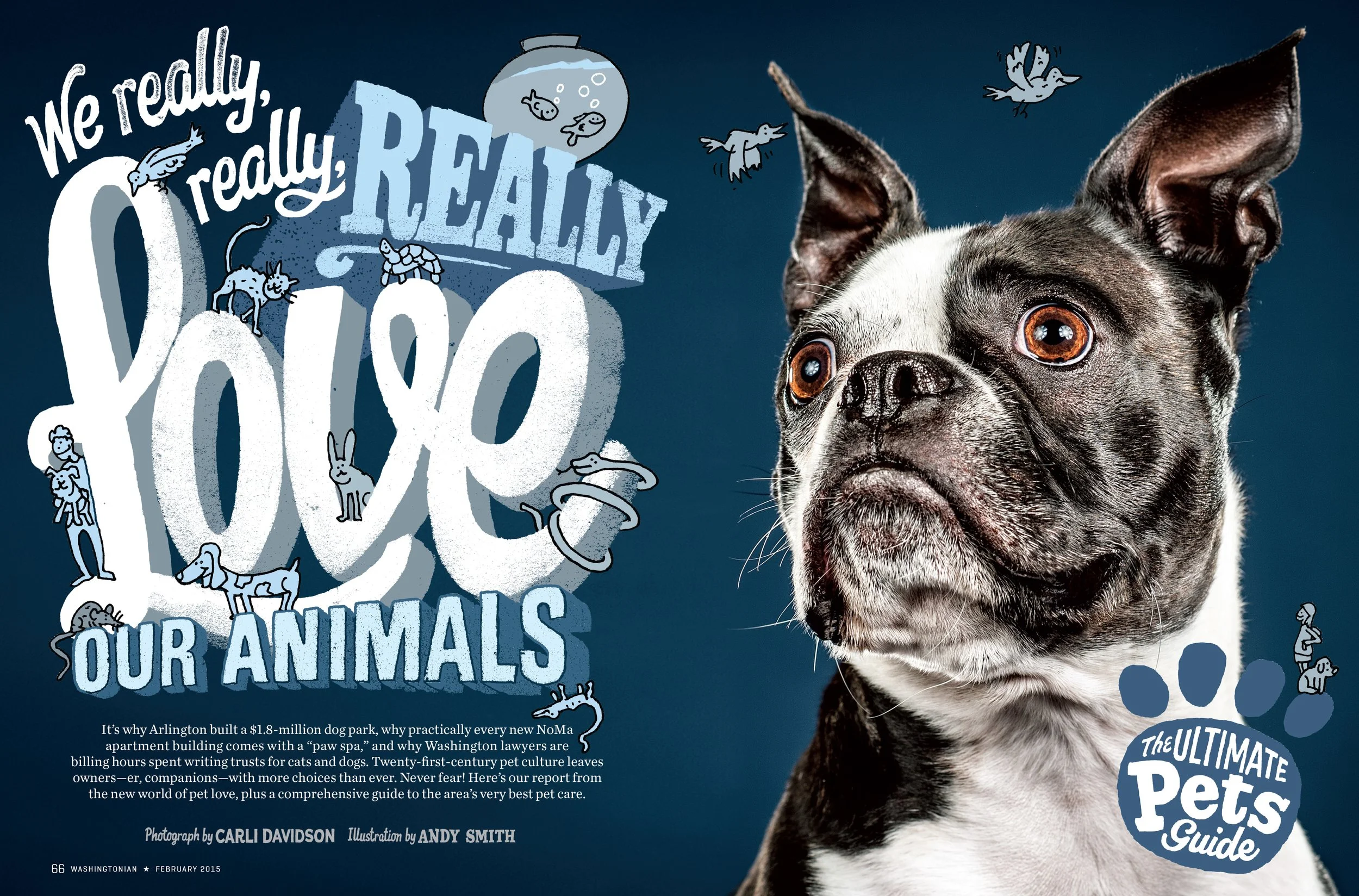 Feature_Pets_spread-1_o.jpg