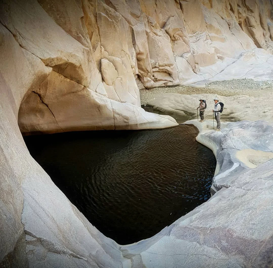 Wadi Walking in Saudi 

With the mercury rising and another day of marathon walks in search of the Arabian leopard and other wildlife, it was a treat to find this deep pool of water in a valley which in arabic is known as a 'wadi'.

We missioned alon