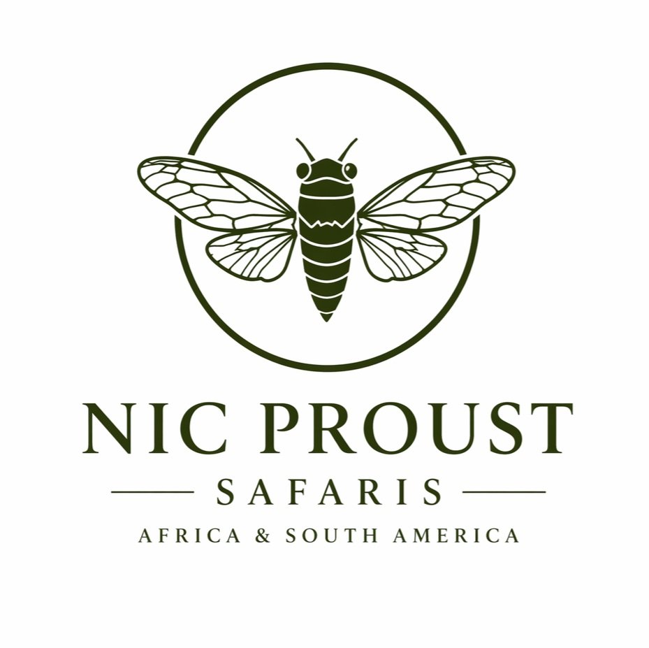 Nic Proust Safaris