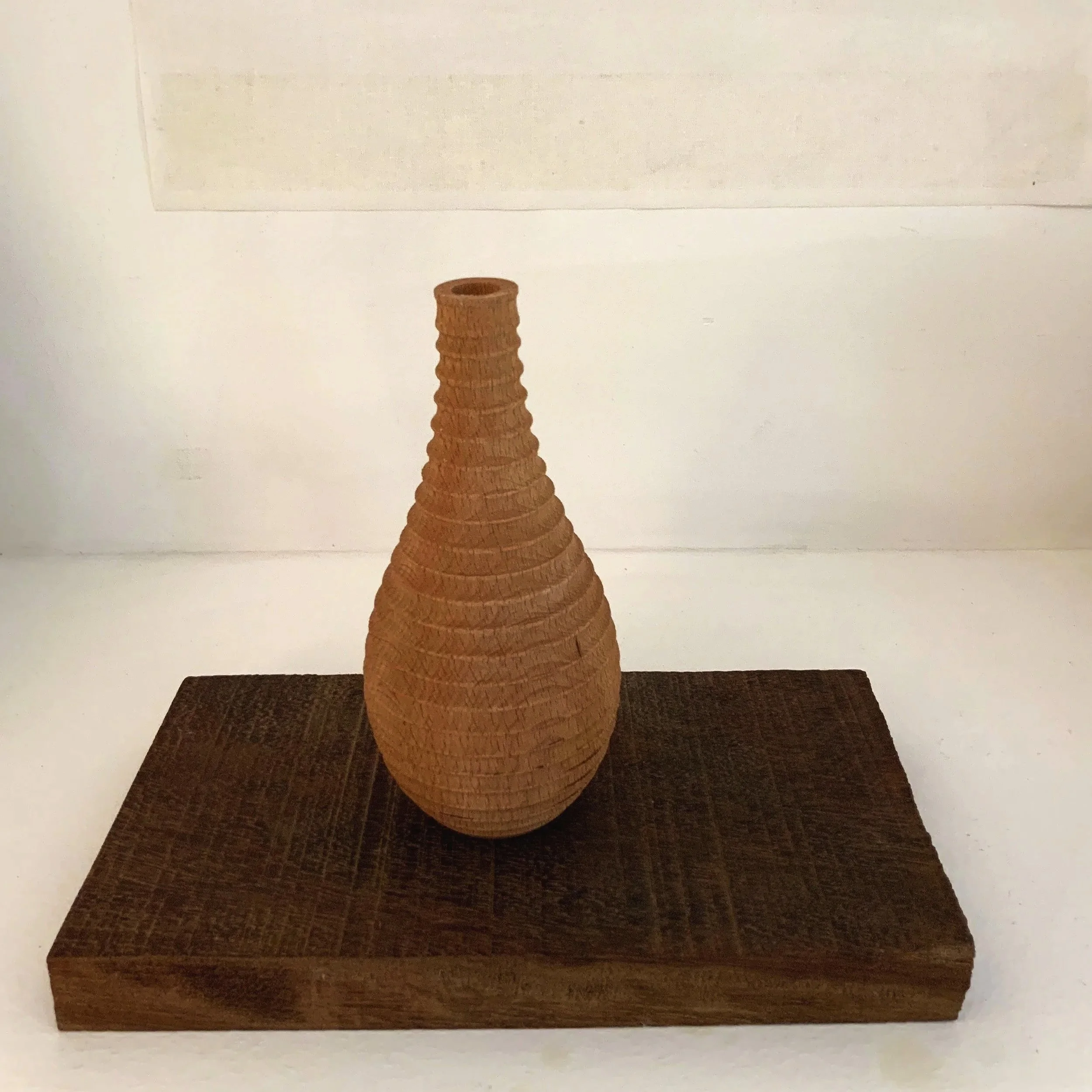 IMG_1137.jpg (copia)