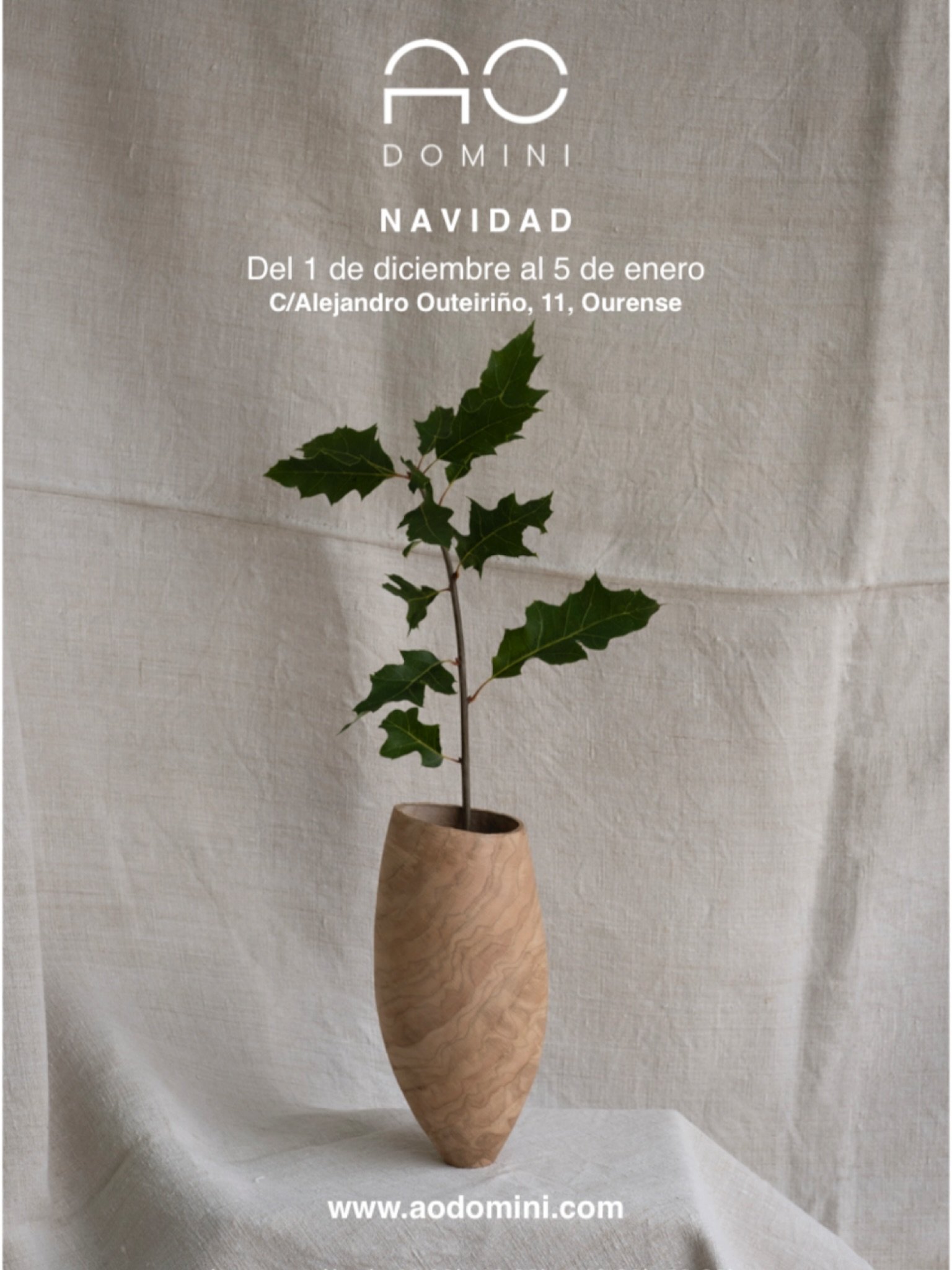 Llega diciembre y todo est&aacute; listo en AO DOMINI para un a&ntilde;o m&aacute;s, ser un lugar especial y &uacute;nico en la ciudad y dar la bienvenida a la Navidad. 
Tenemos una cuidada selecci&oacute;n y piezas exclusivas para sorprender en esta