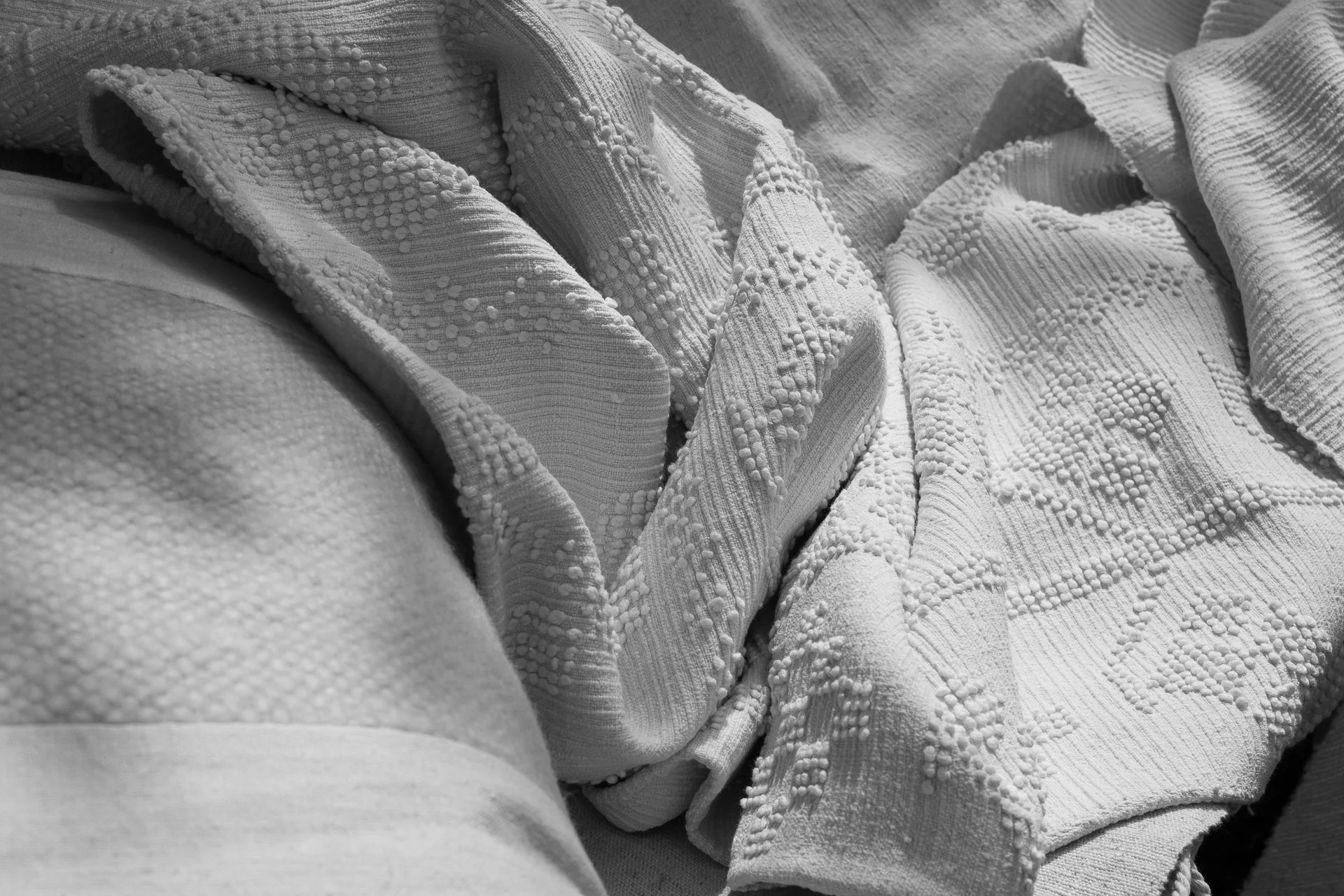 AODOMINI-FEBRERO-2024-90 3.jpg