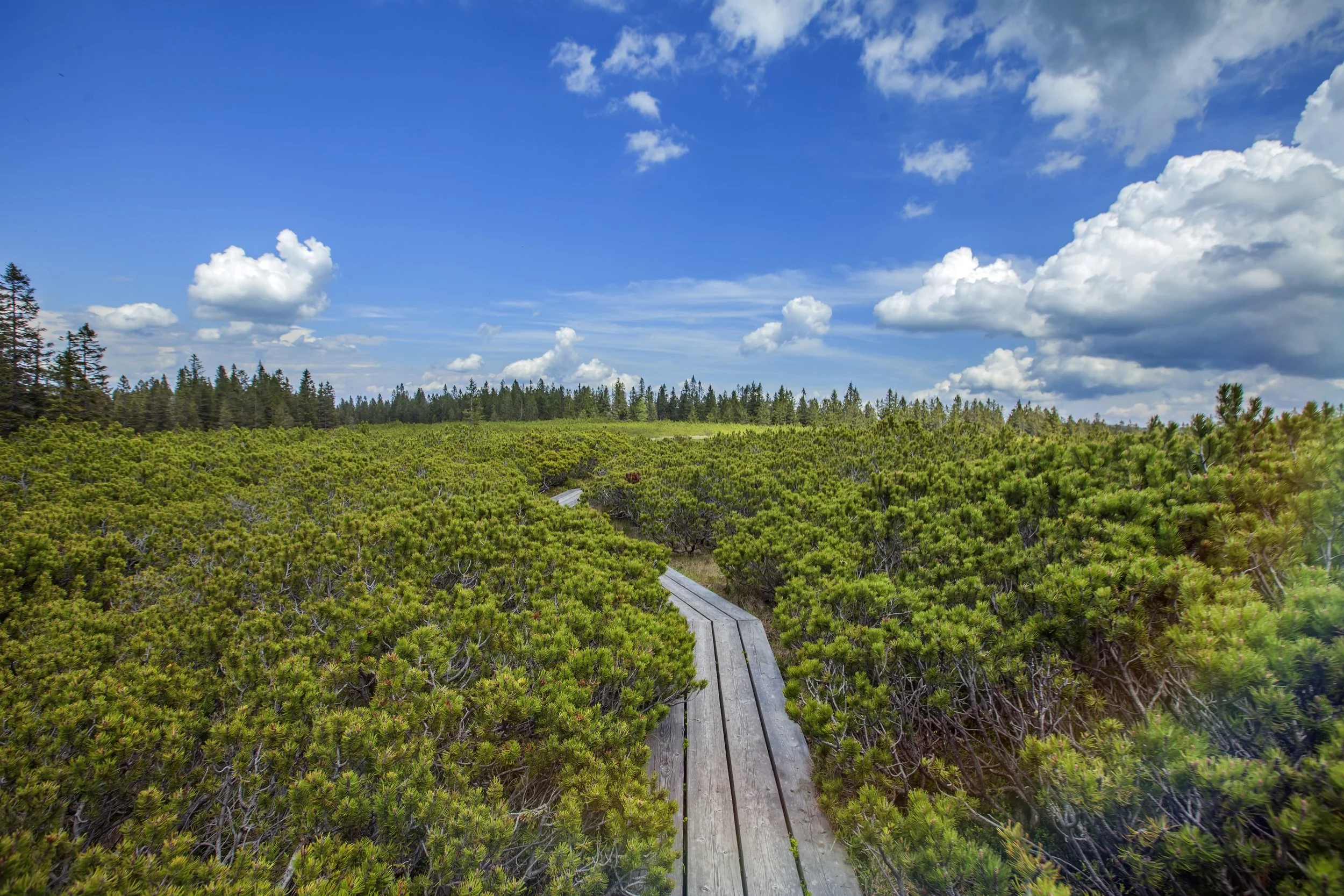 BLM Officially Repeals the Public Lands Rule