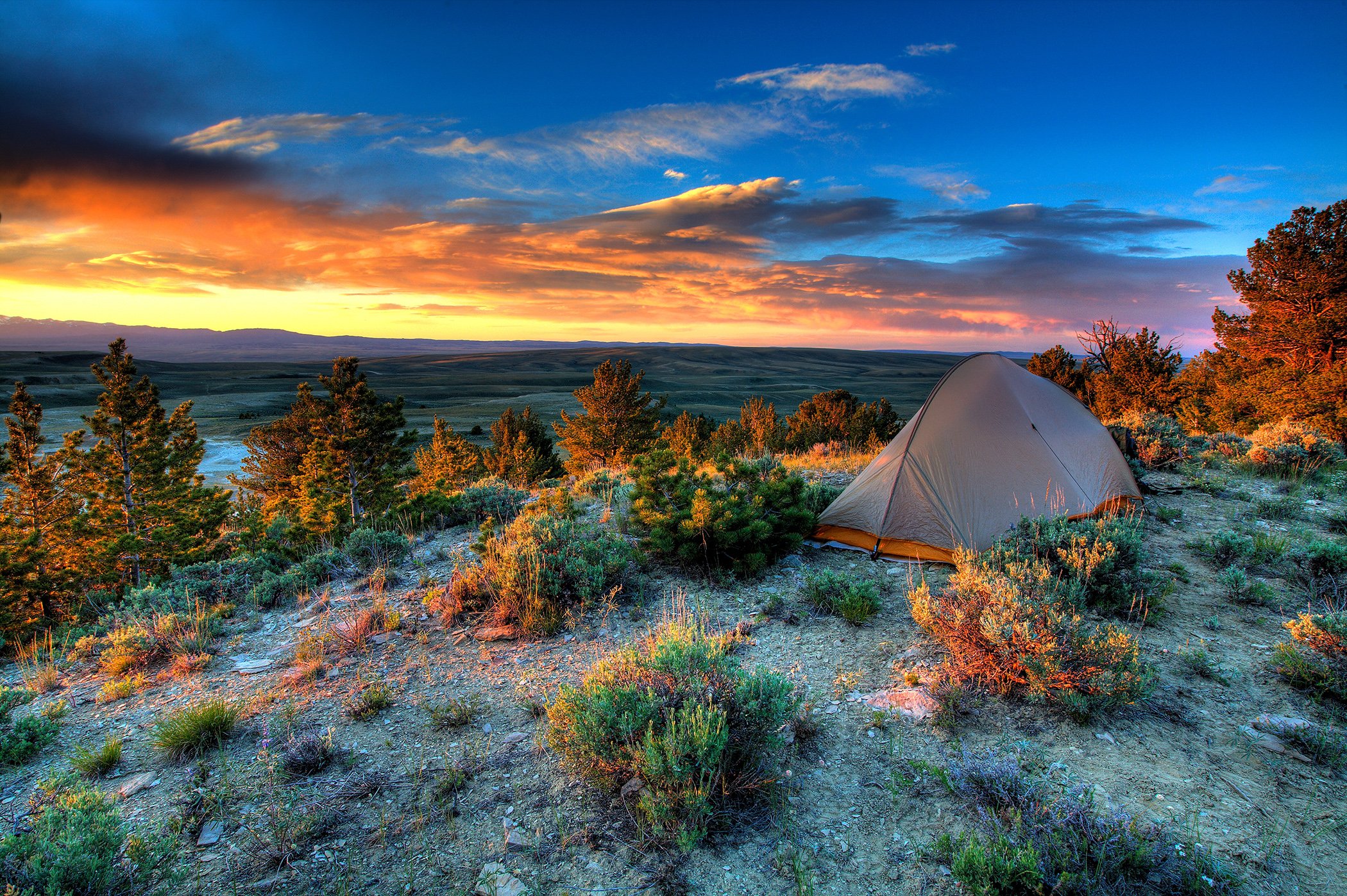 Tent in desert landscape